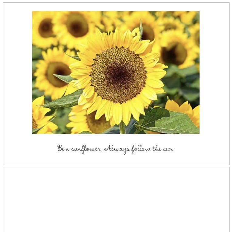 Sunflower card inside.jpeg