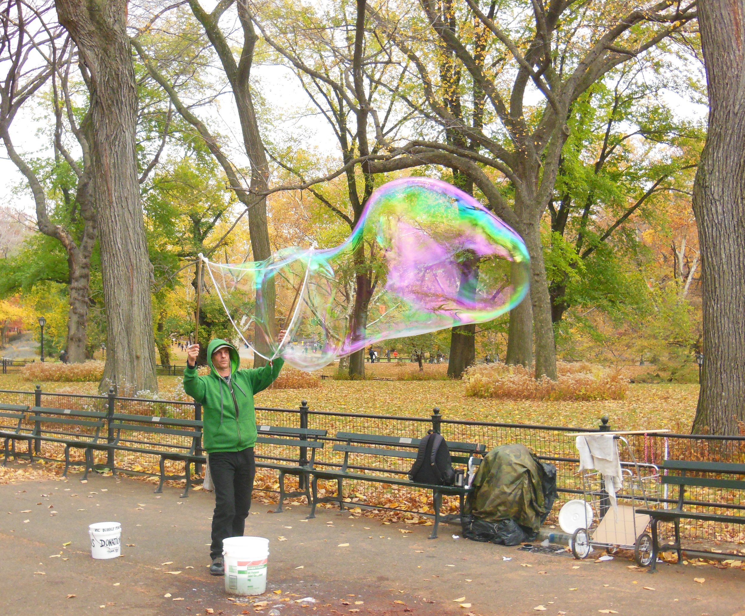 Central Park Bubbles.JPG