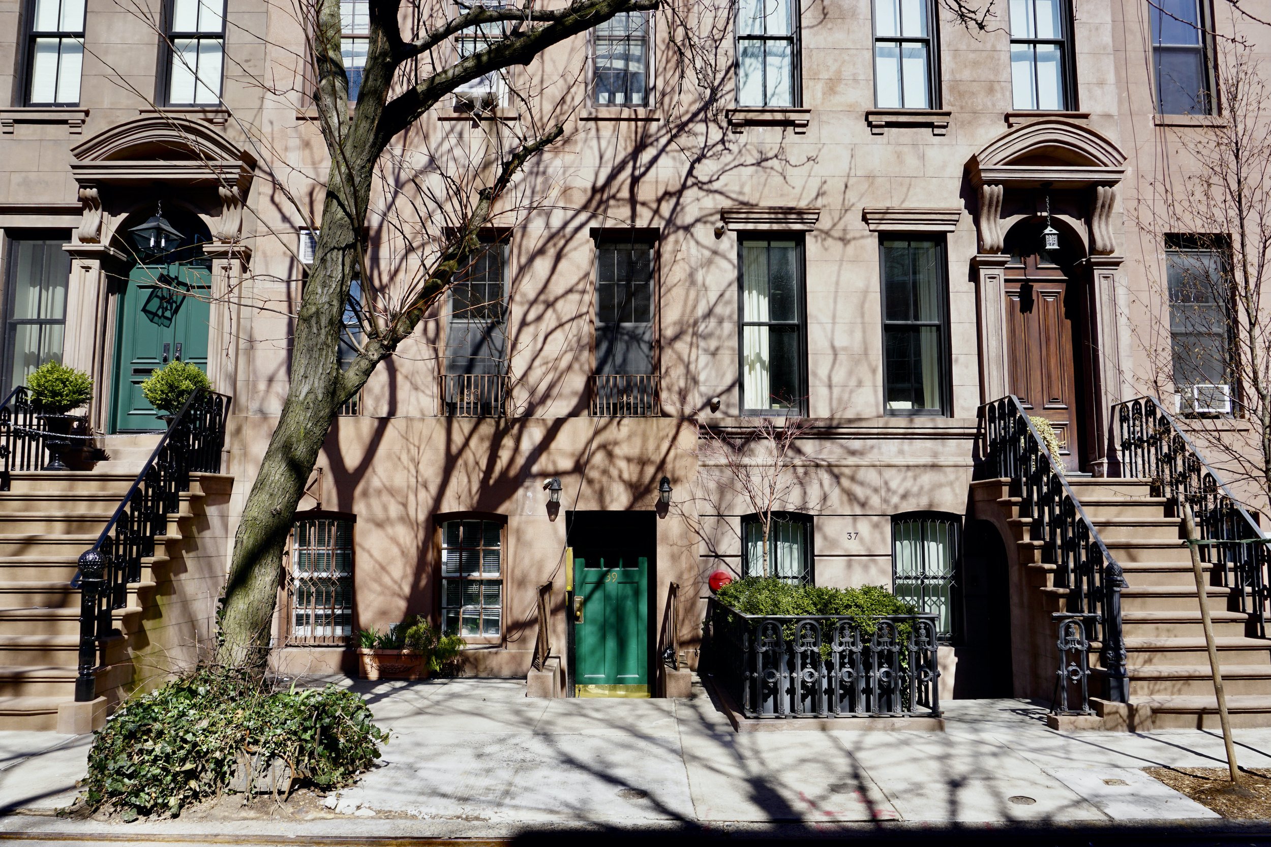 A tree grows in the West Village