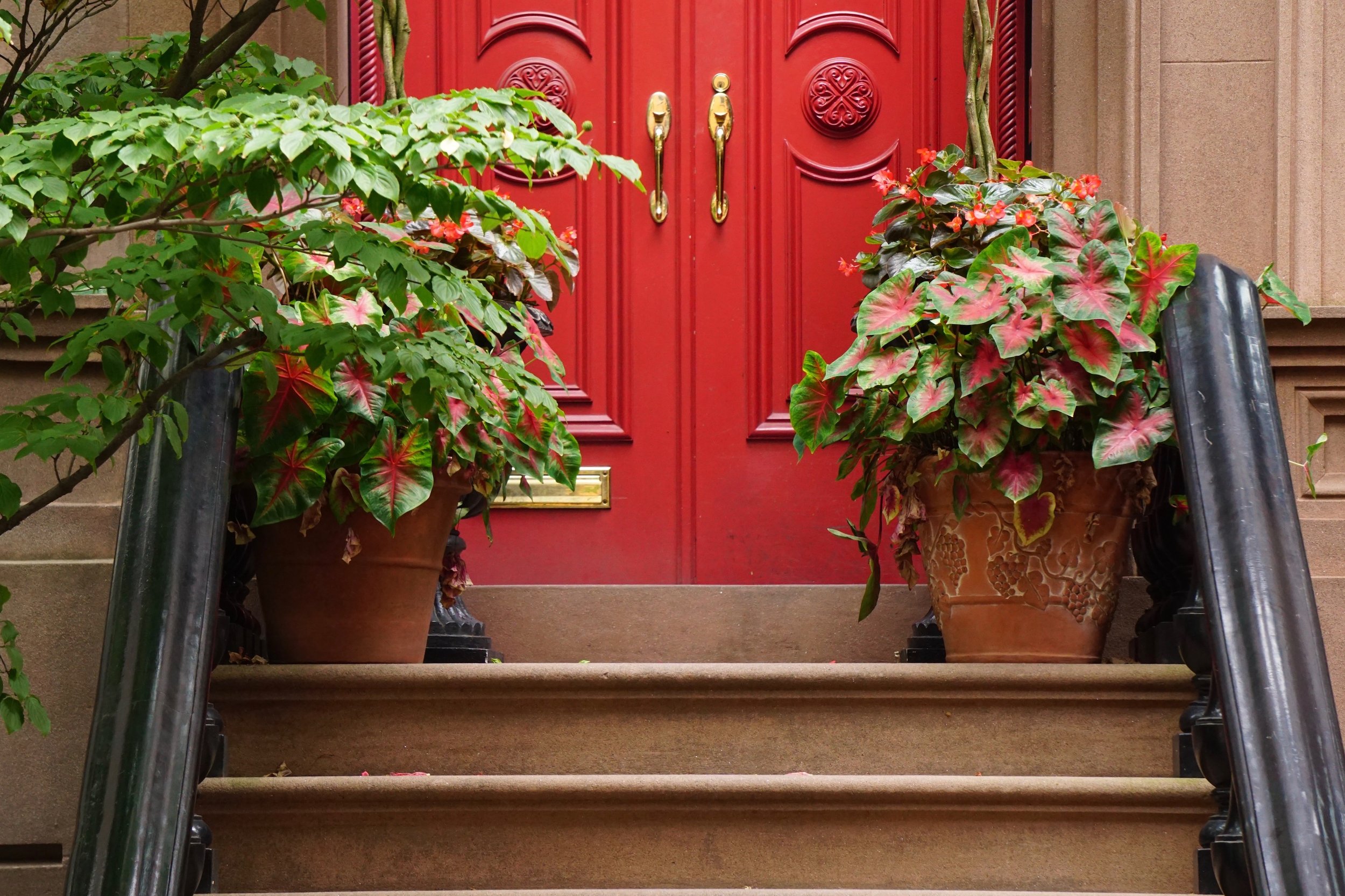 I see a red door in The West Village