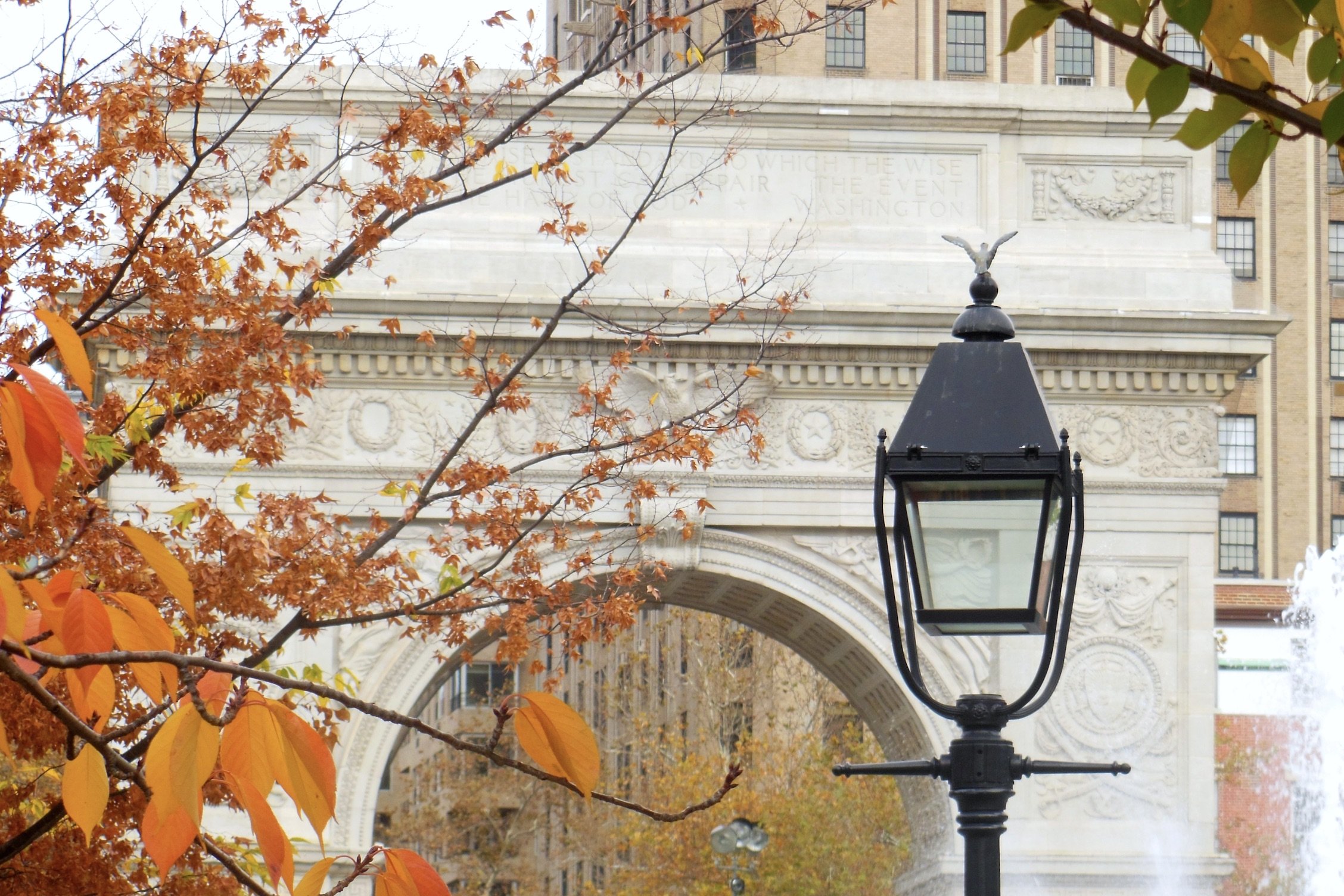 Orange Crush at Washington Square Park