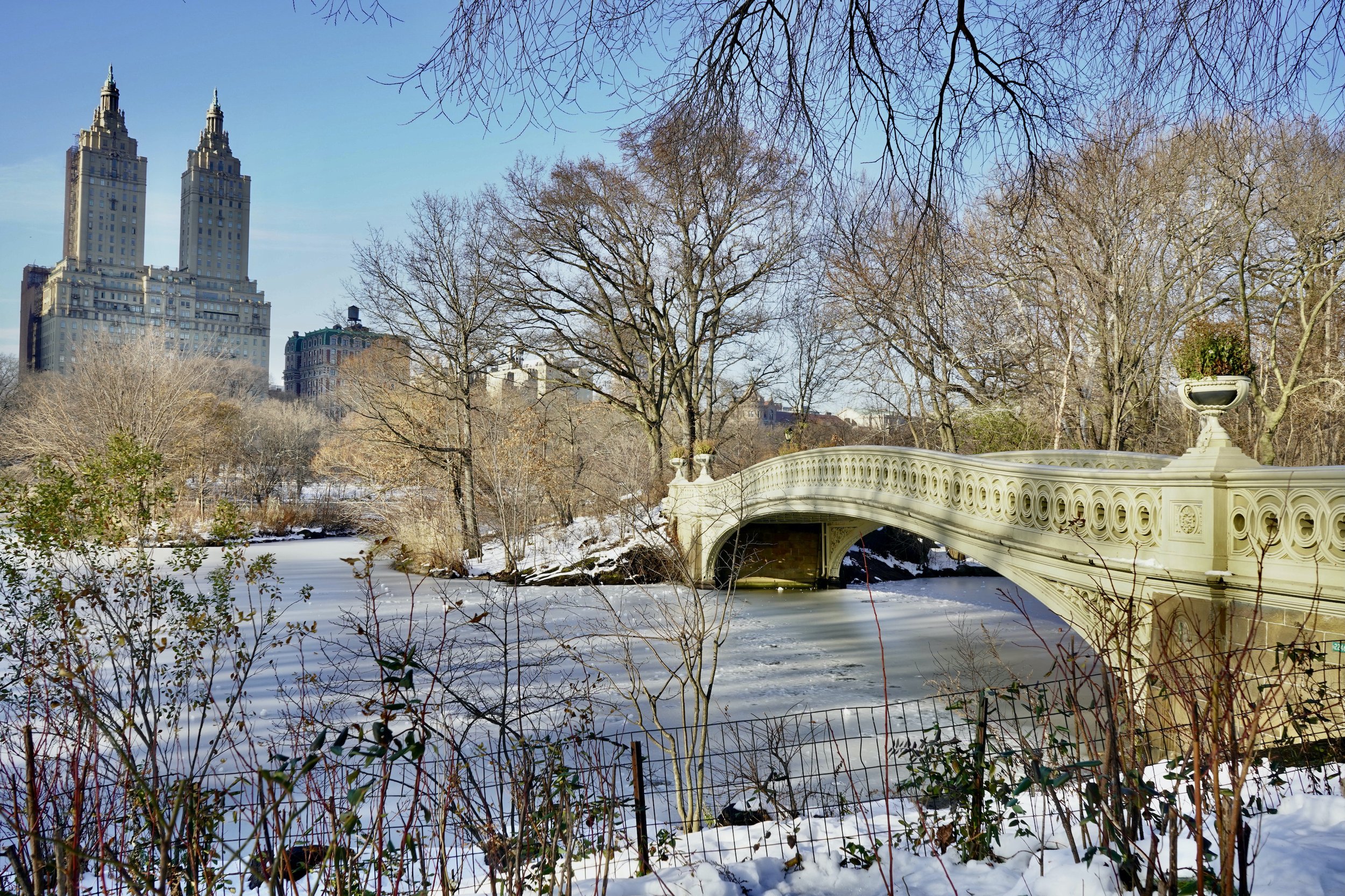 Winter wonderland Central Park