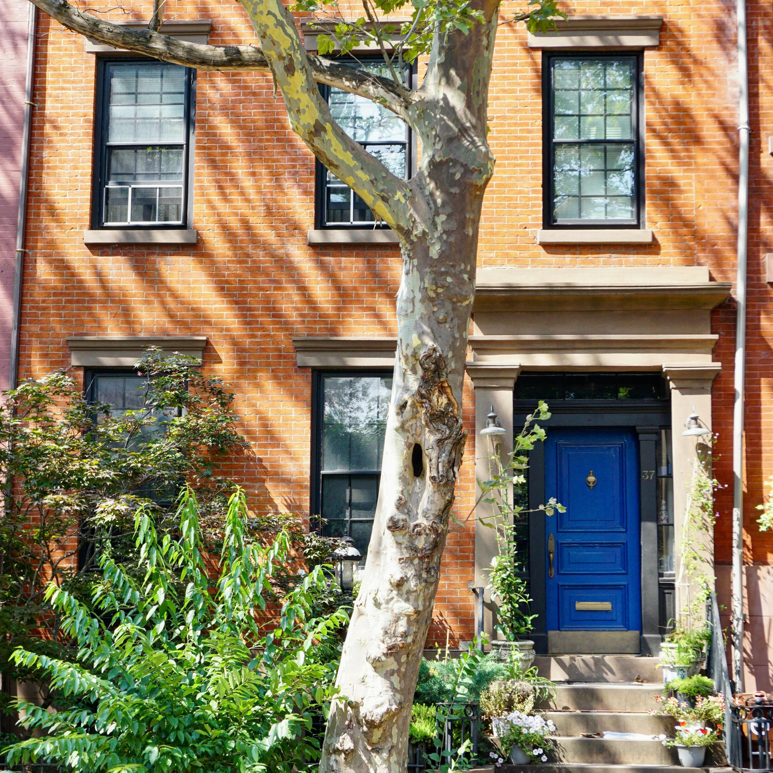 Beautiful Brooklyn Heights 
.
.
.
#nyc #brooklynheights #brooklyn #joralemonstreet #springinnyc #nyclife #yesny #nypix #nbc4ny #abc7ny #mysecretnyc #loves_nyc #pix11news #tnyr #timeoutnewyork #newyorkcity #newyorkcityview #ny1pic #untappedcities #unt