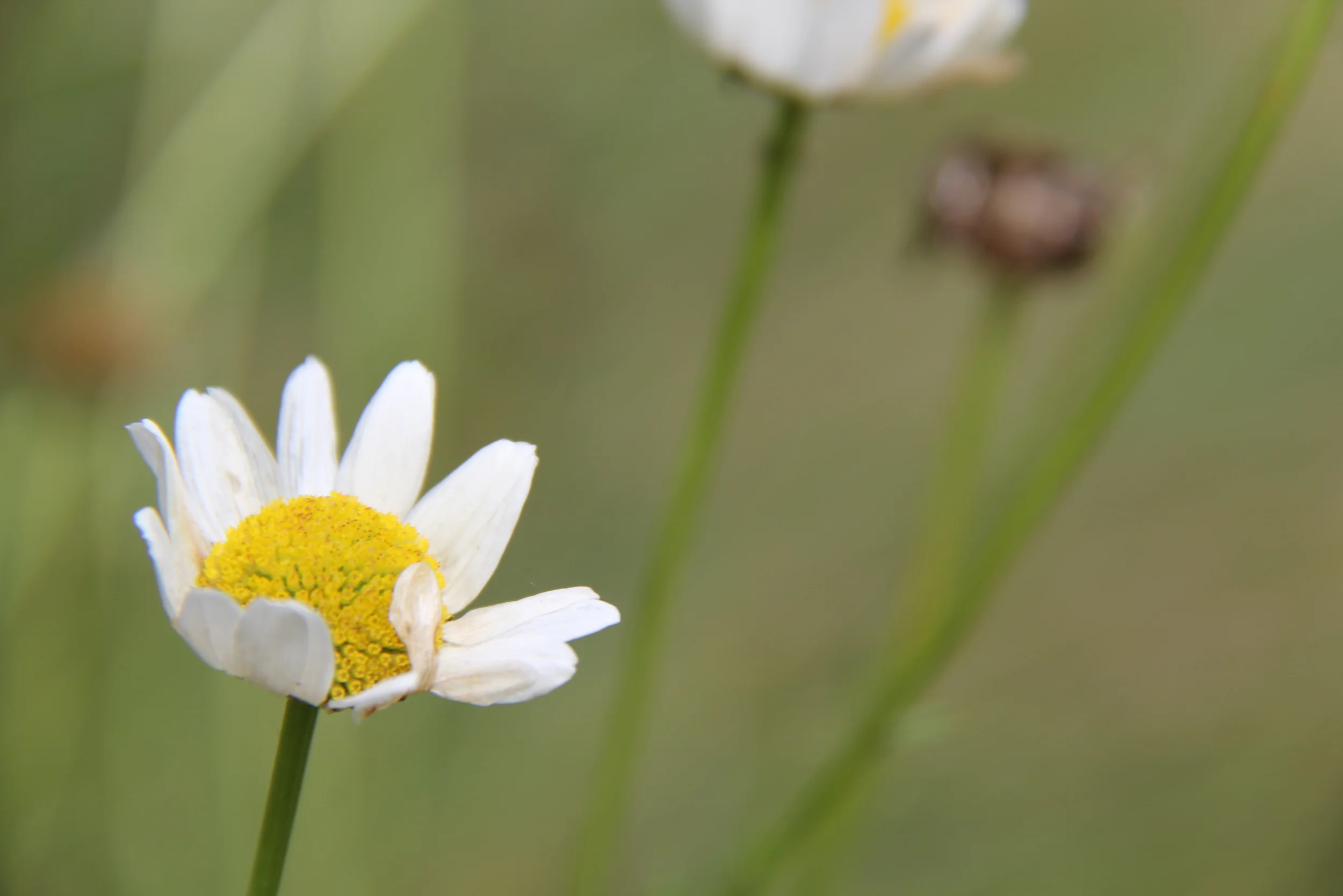 Looking Past the Oscar Nominations