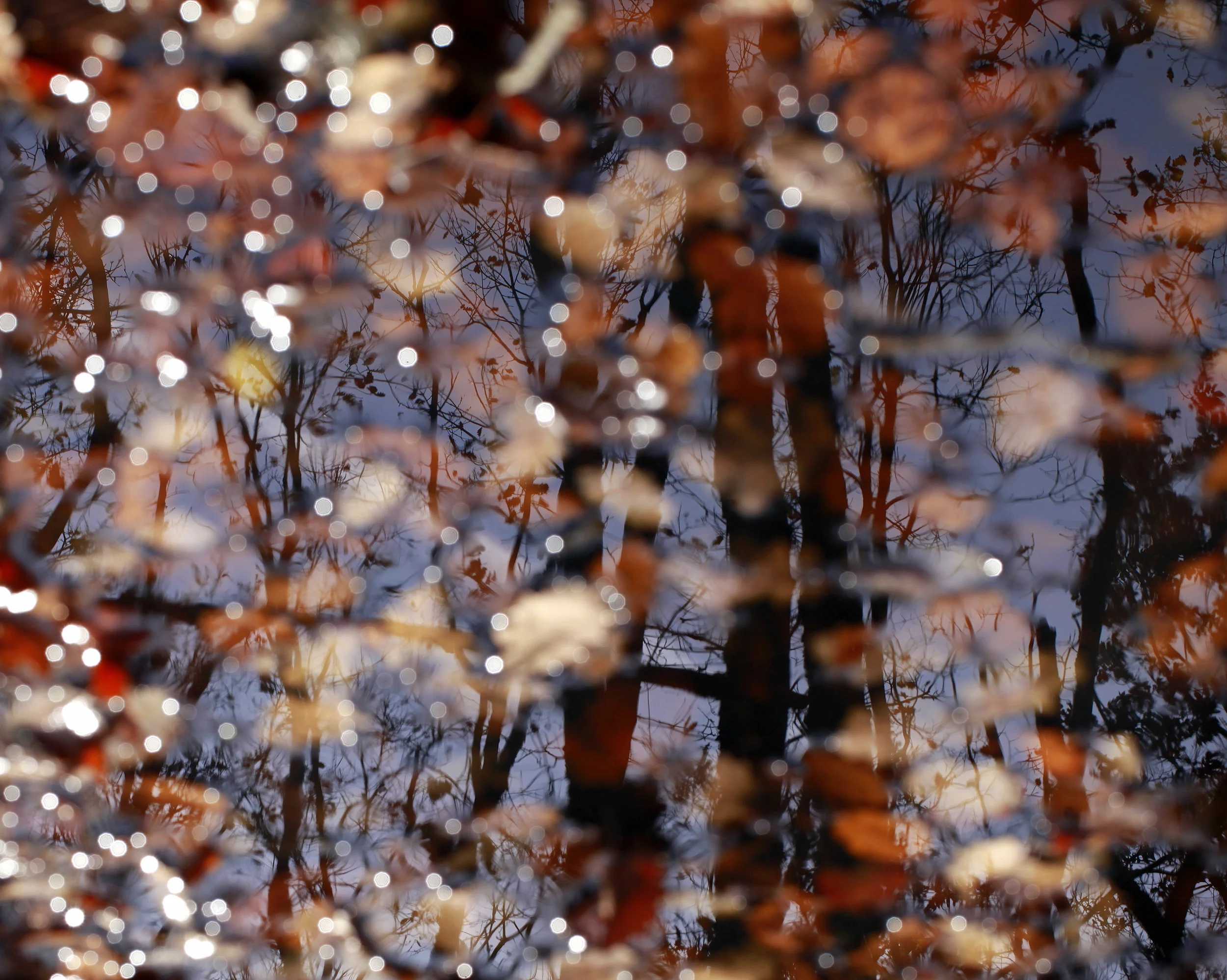 SYLVA Art Nights: Entrance Silhouette Workshop