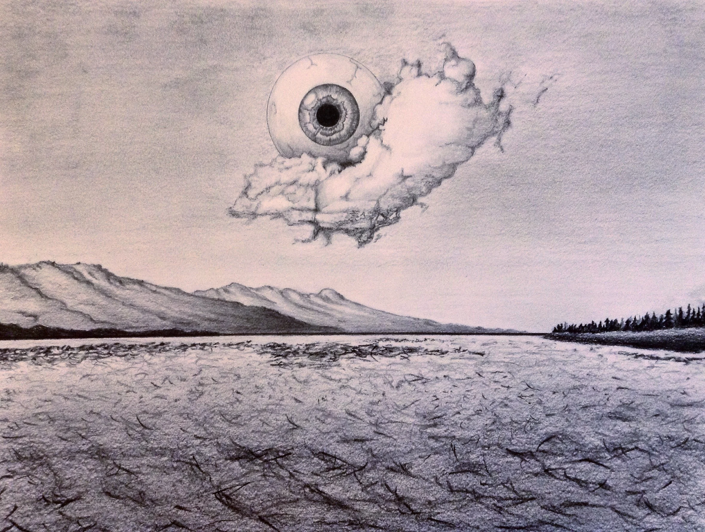 Landscape / pencil, 8.5x11in / $100