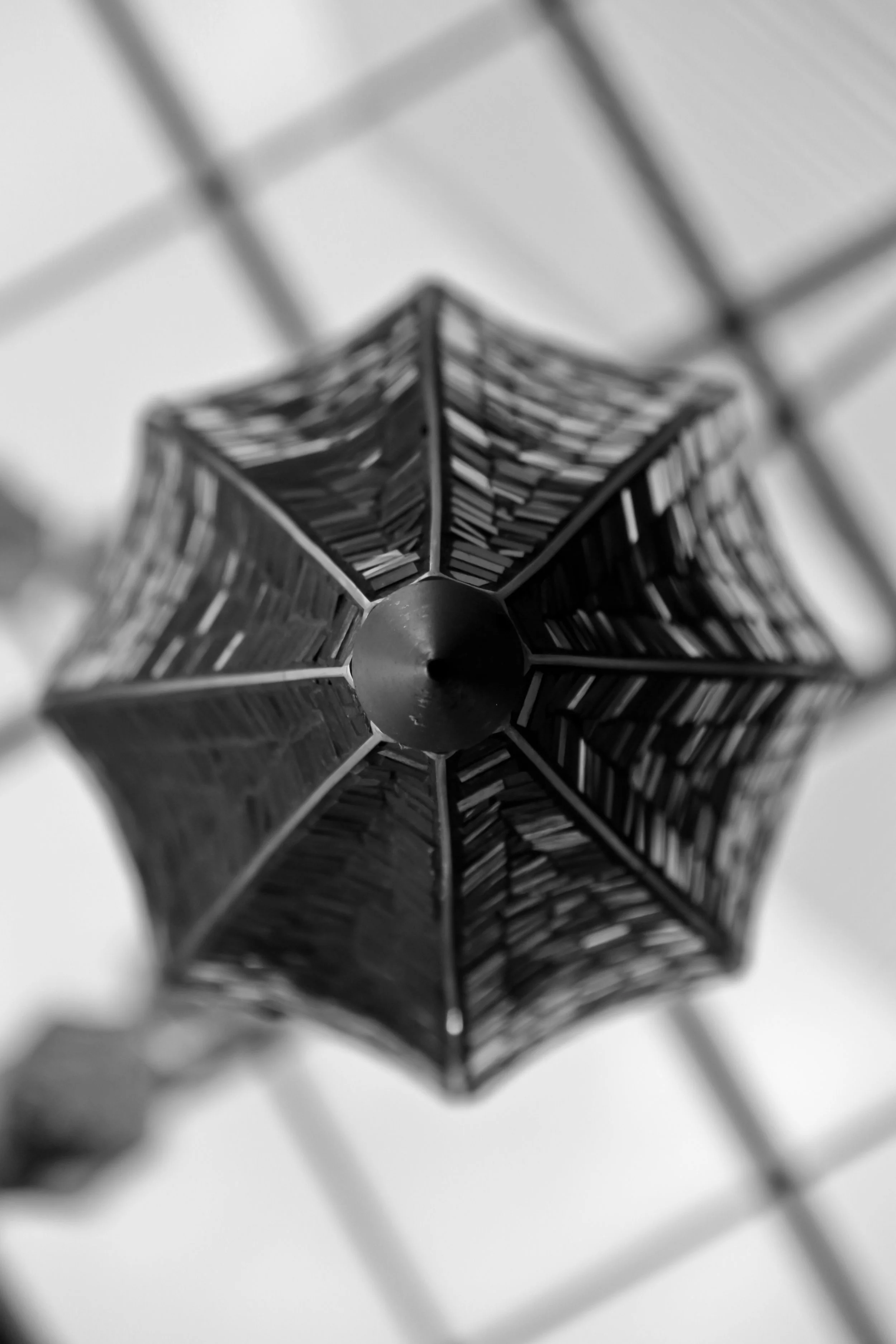 Chrys·a·lis 2017 Ticket