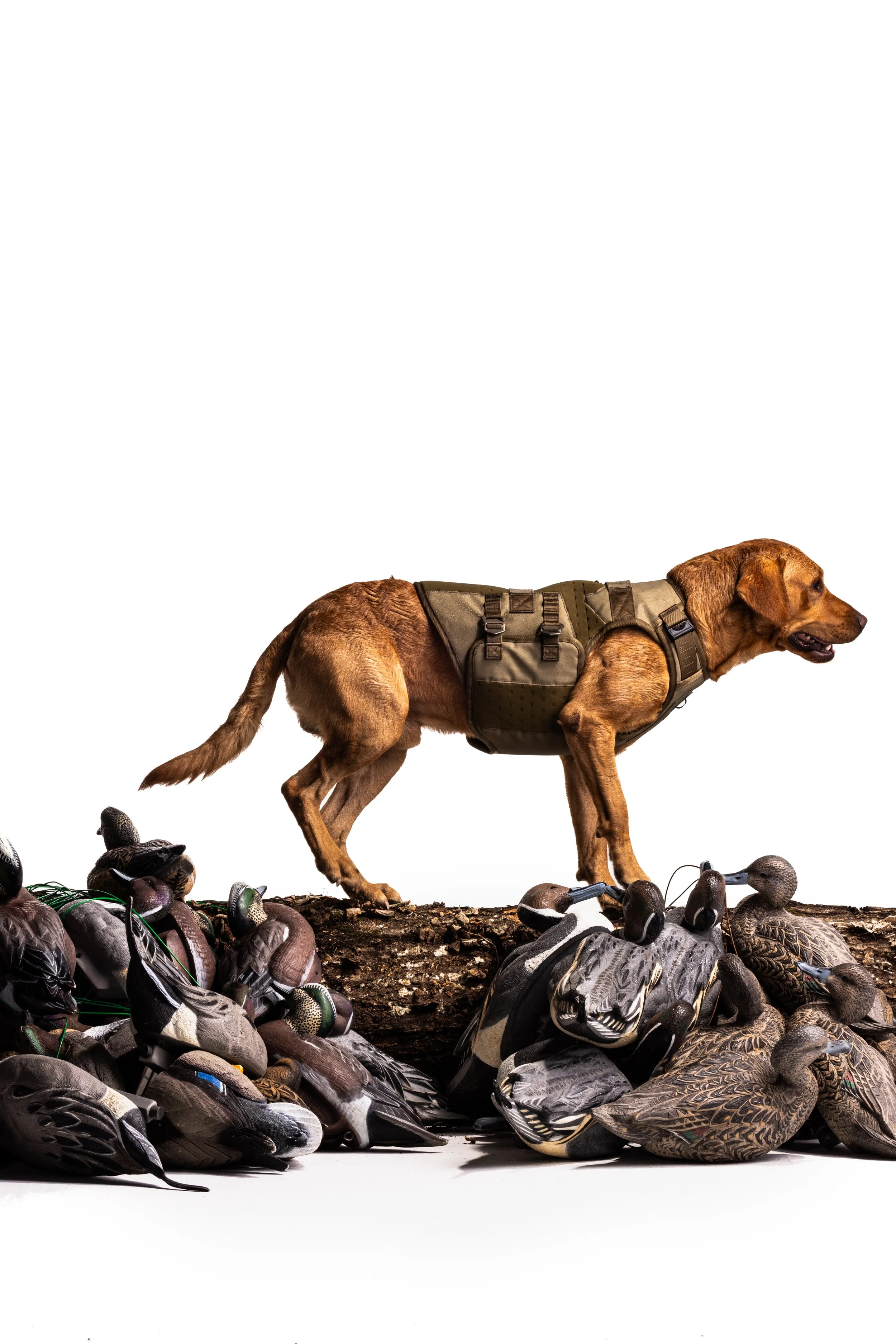 Dowell_Gunner__251104_5440-Edit.jpg