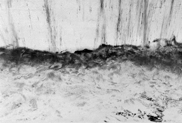 THE DELUGE: Mixed Media >