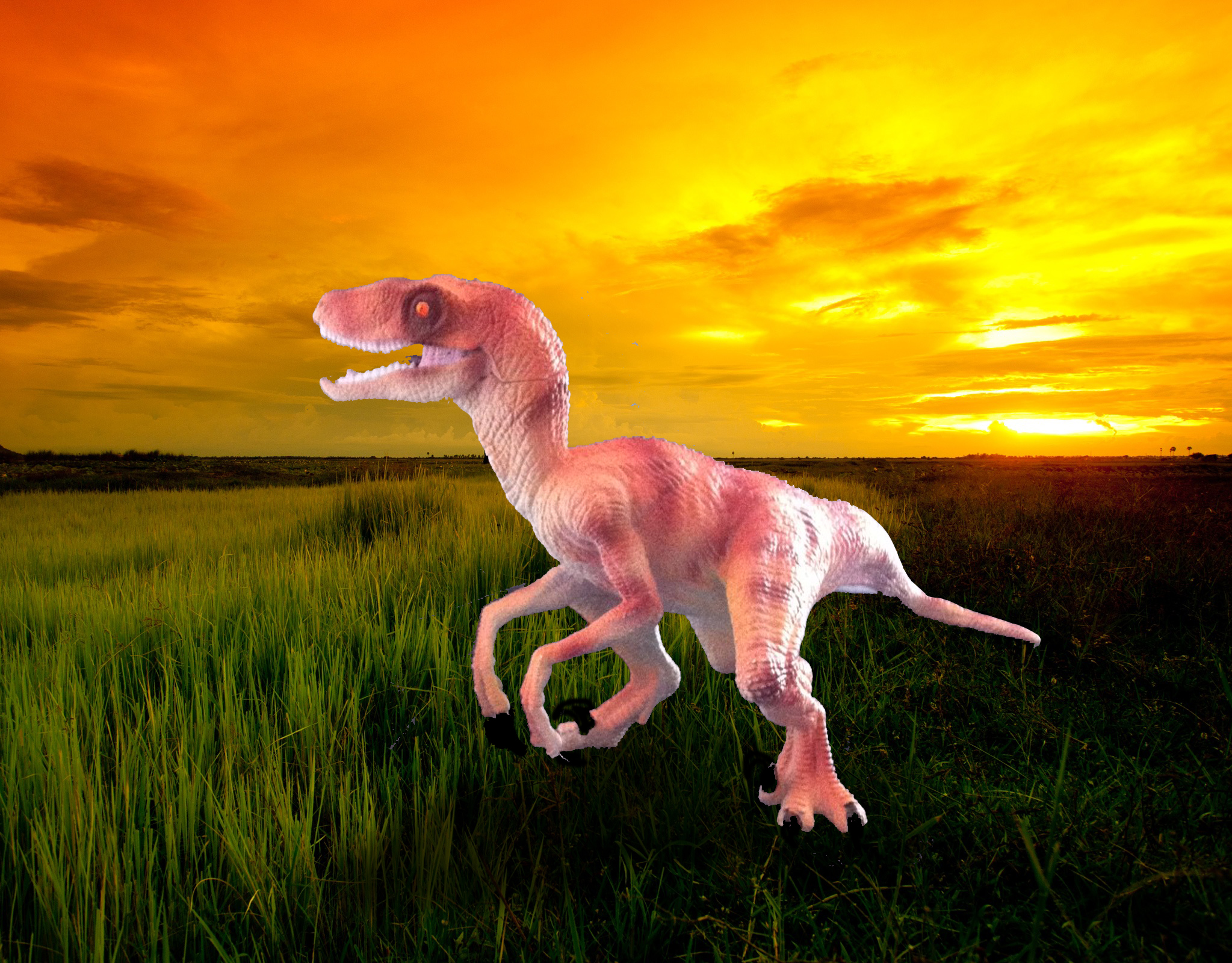 raptor red.jpg