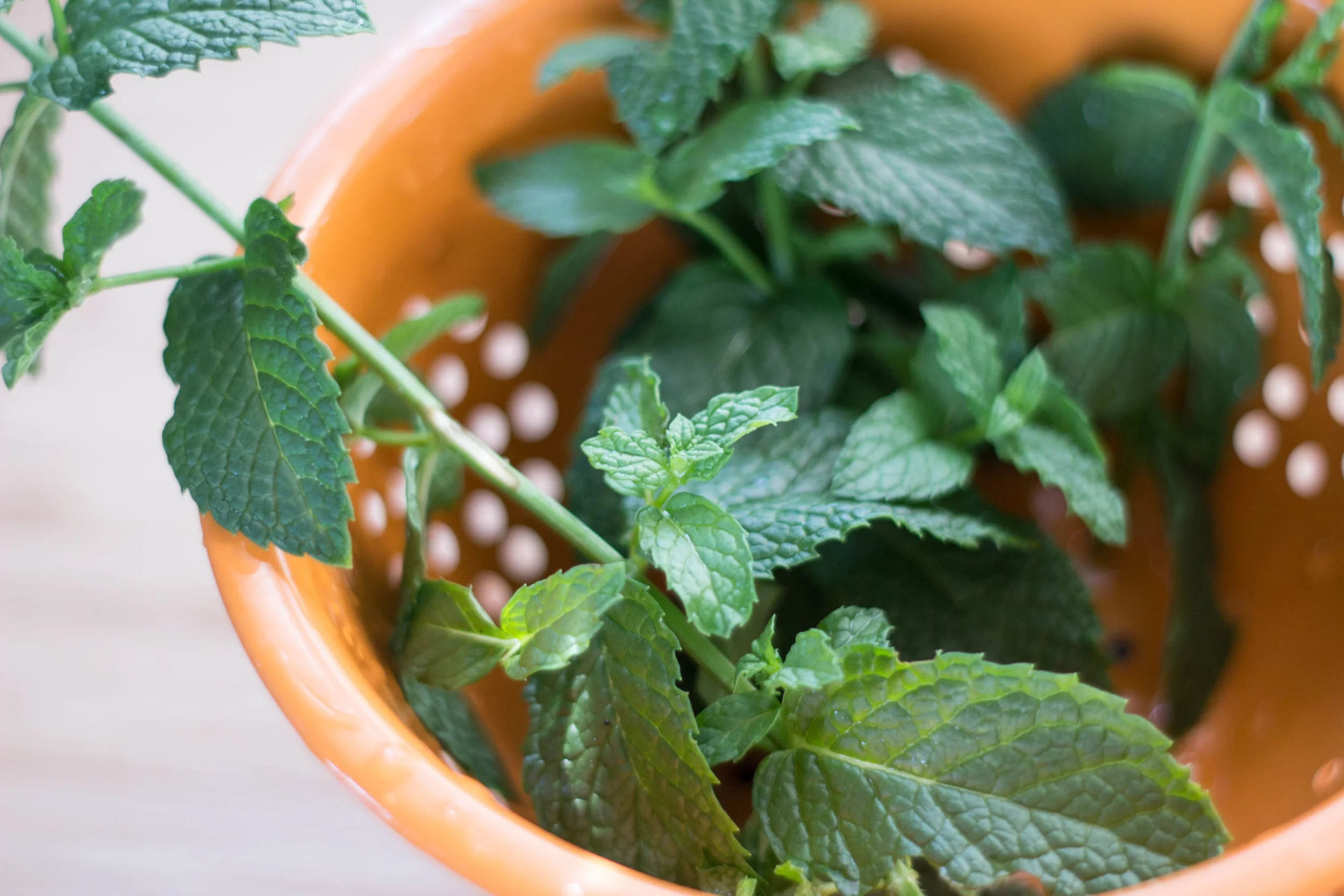 Fresh mint