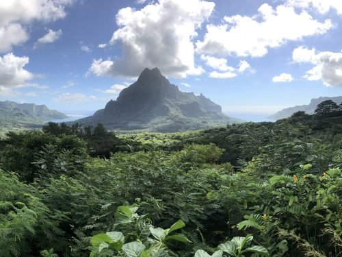Rainforests-and-Volcanos-Tahiti_Virtuoso-500x375.jpeg