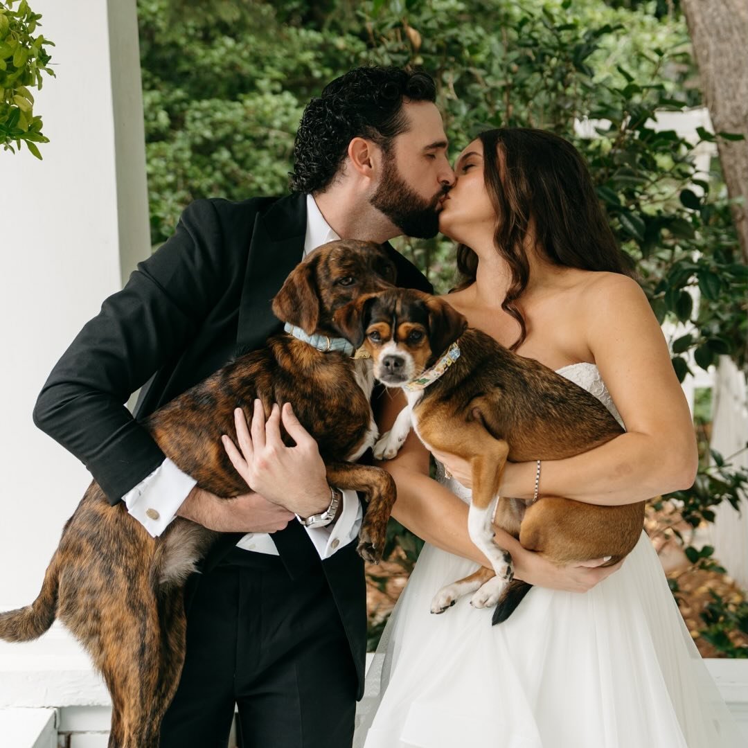 And that&rsquo;s what we call puppy love 🤍

Our bride, Jessica, had a wedding day that was tender and heartfelt. Every little detail felt like home and we cannot get over it.

The biggest congratulations to Jessica and Gibson! 🥂

Photography ~ @kal