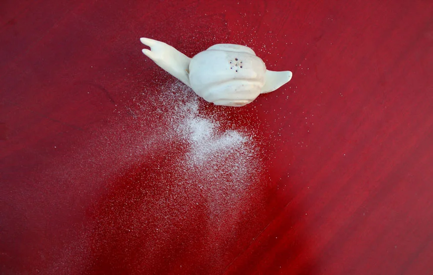 Immortal slug salt shaker