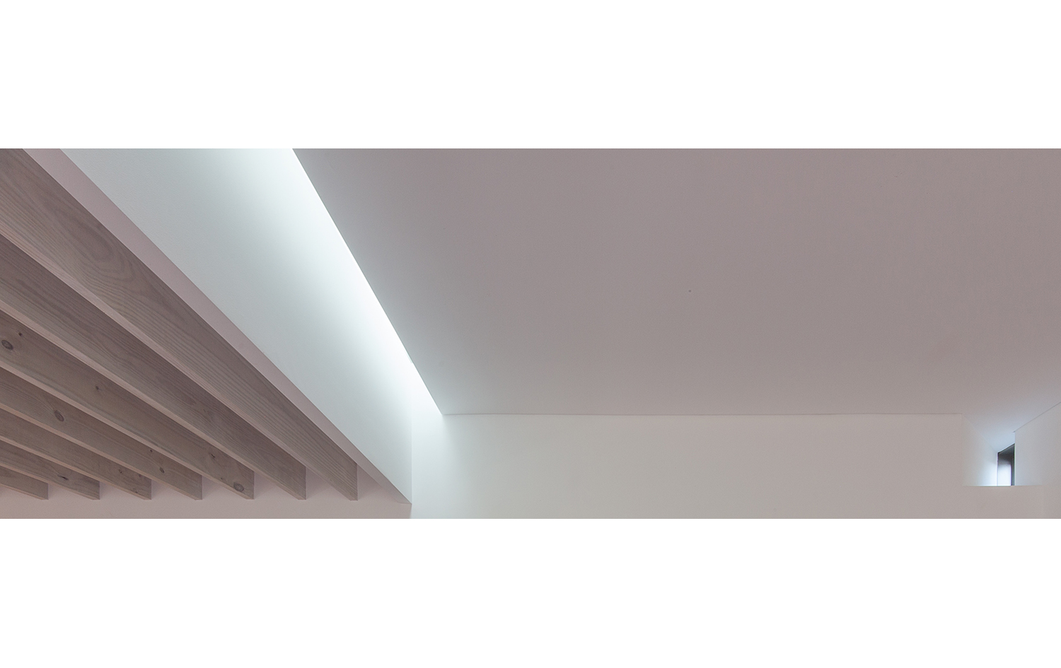 ceiling detail, photograph by john madden