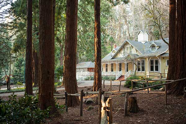1-2-3 Things — Jet to Stern Grove