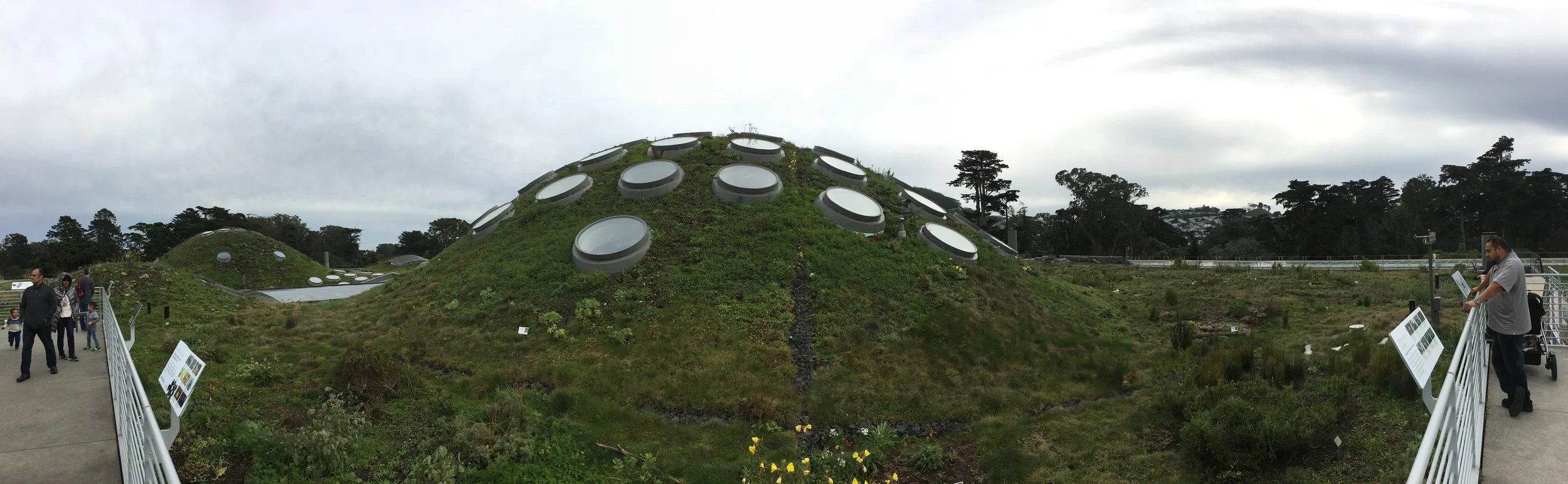 Free Day at the Academy of Science