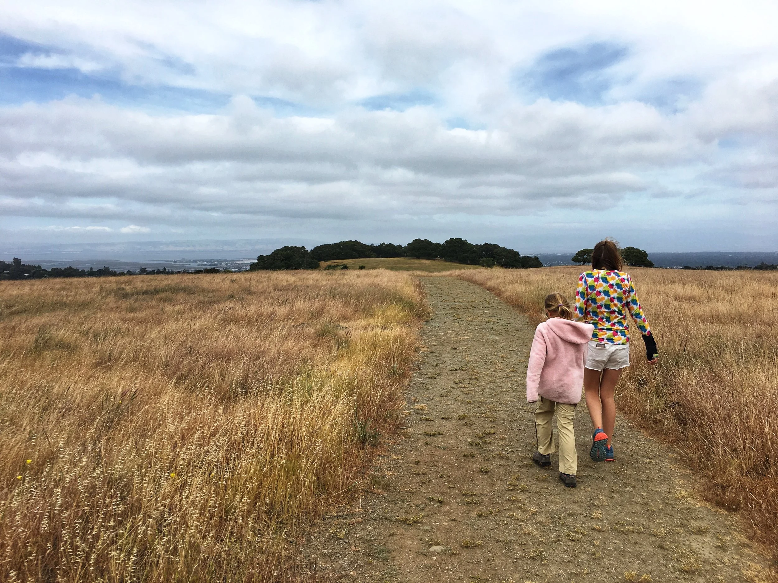 Don't forget what is in your own backyard