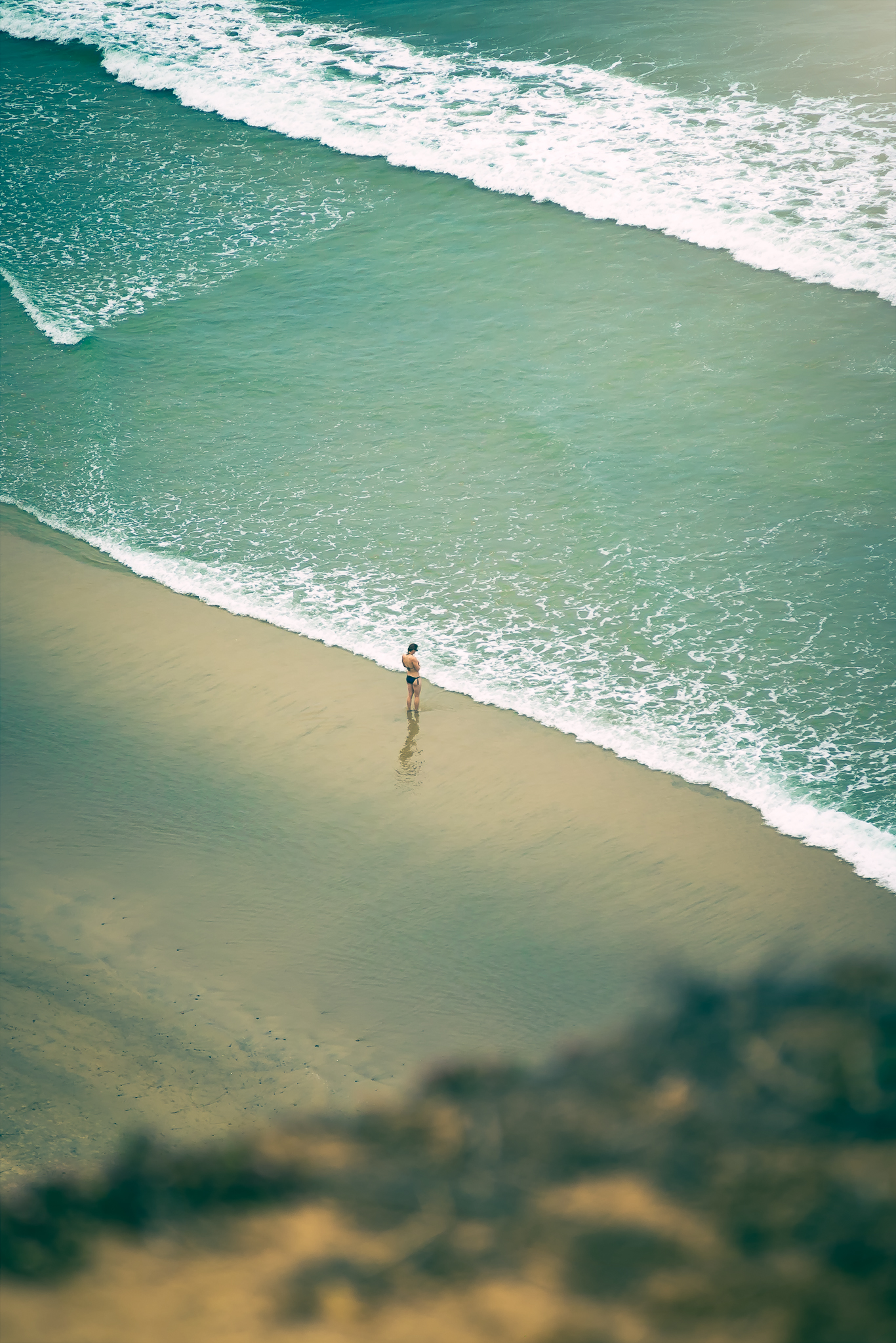 TorreyPines_MG_8042.jpg