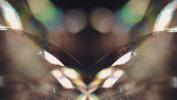 Open Up 2016 EDIT 1.gif