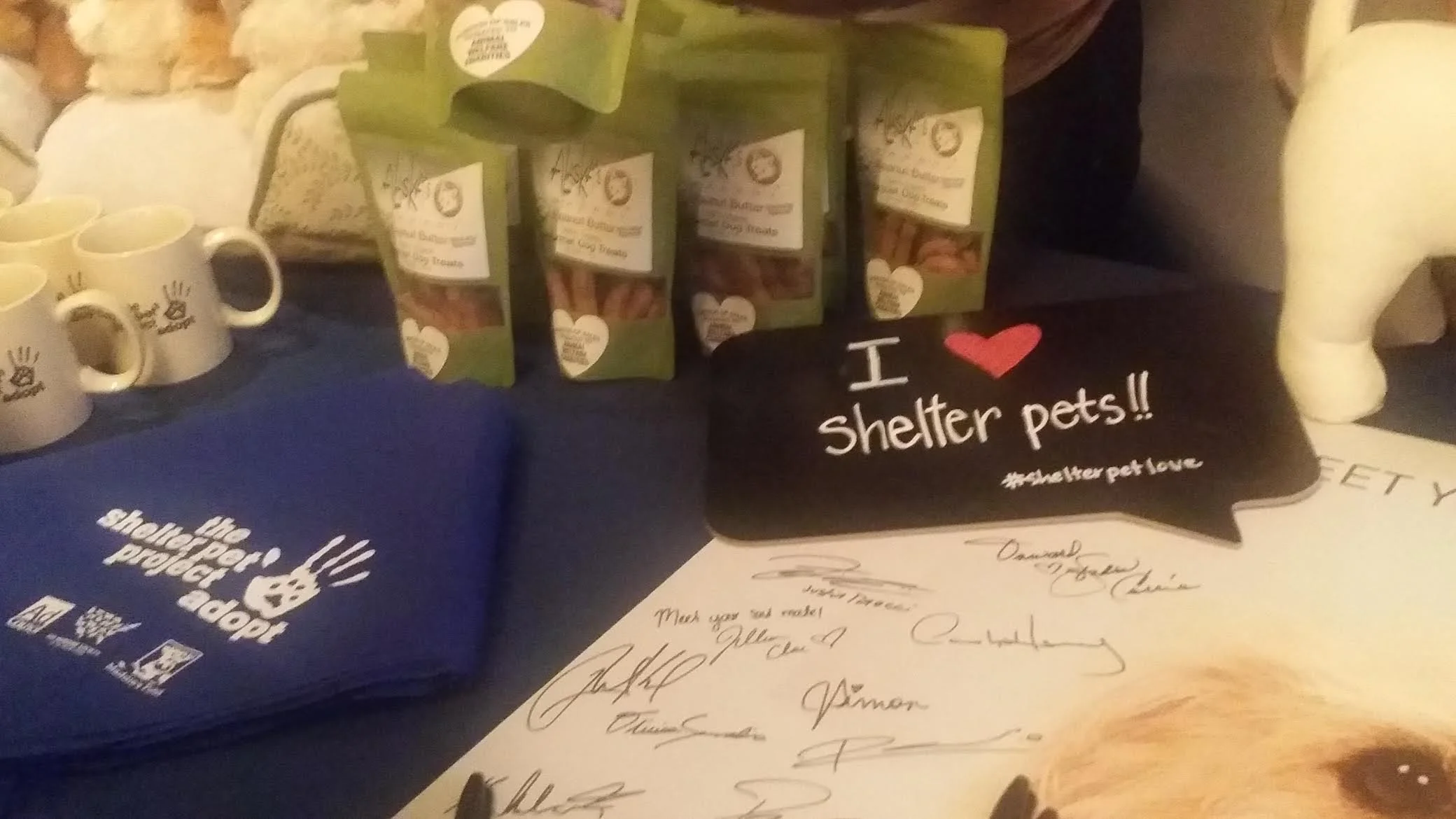  The Shelter Project    