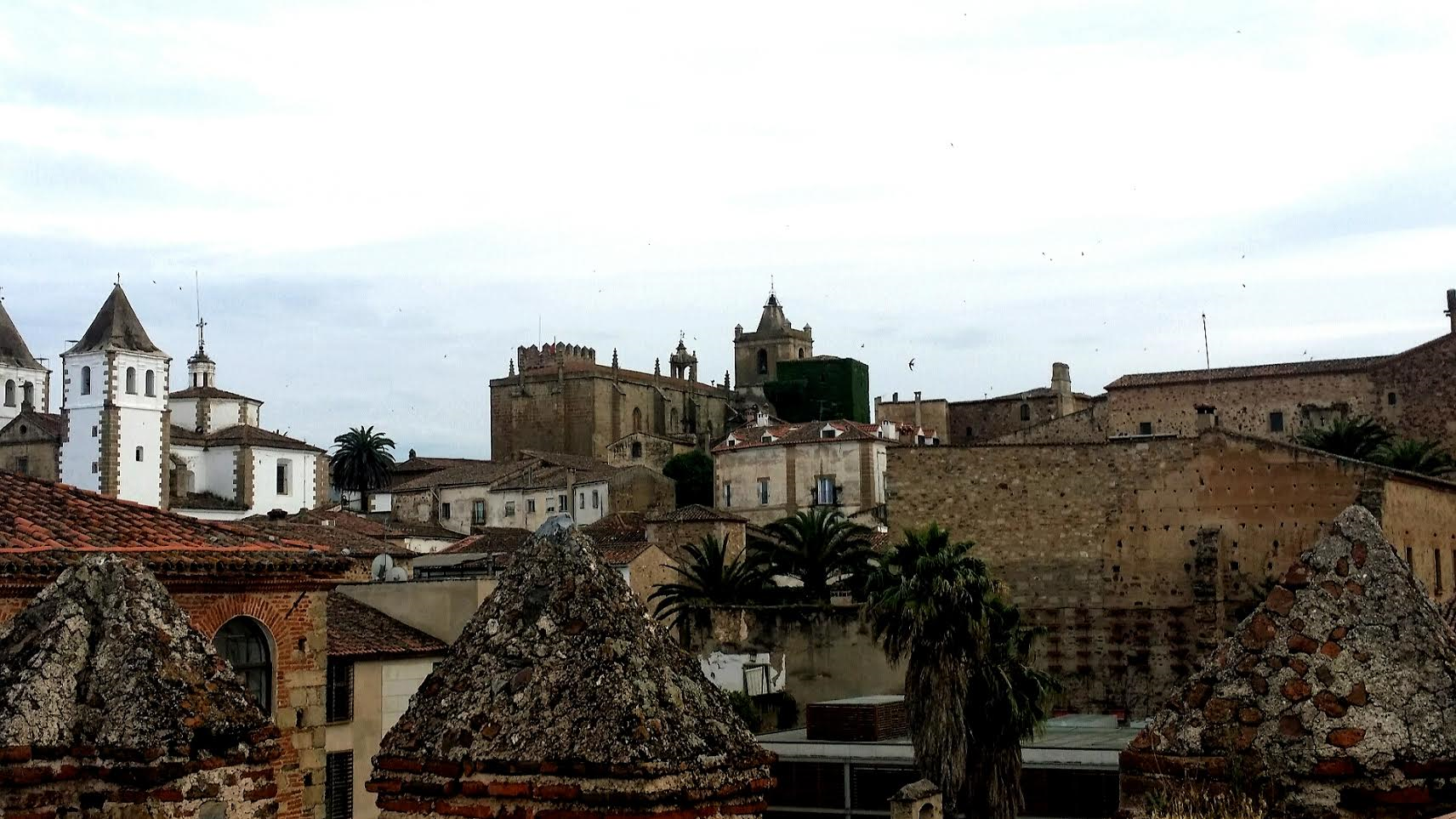  A View From the Top of Caceres! 