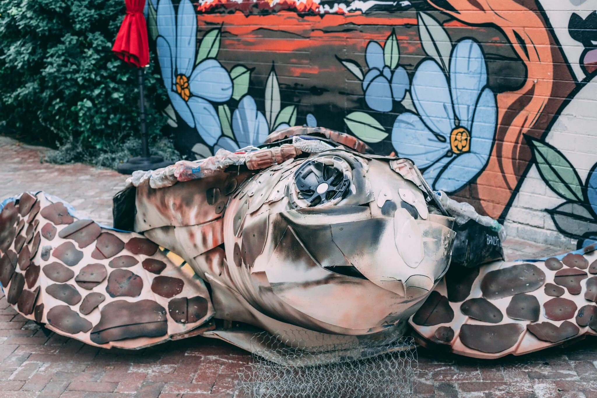 Photo Credit: Amanda Anderson (Veronica Rodriguez)