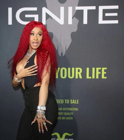 (Photo by Randall Michelson/Getty Images for Ignite)