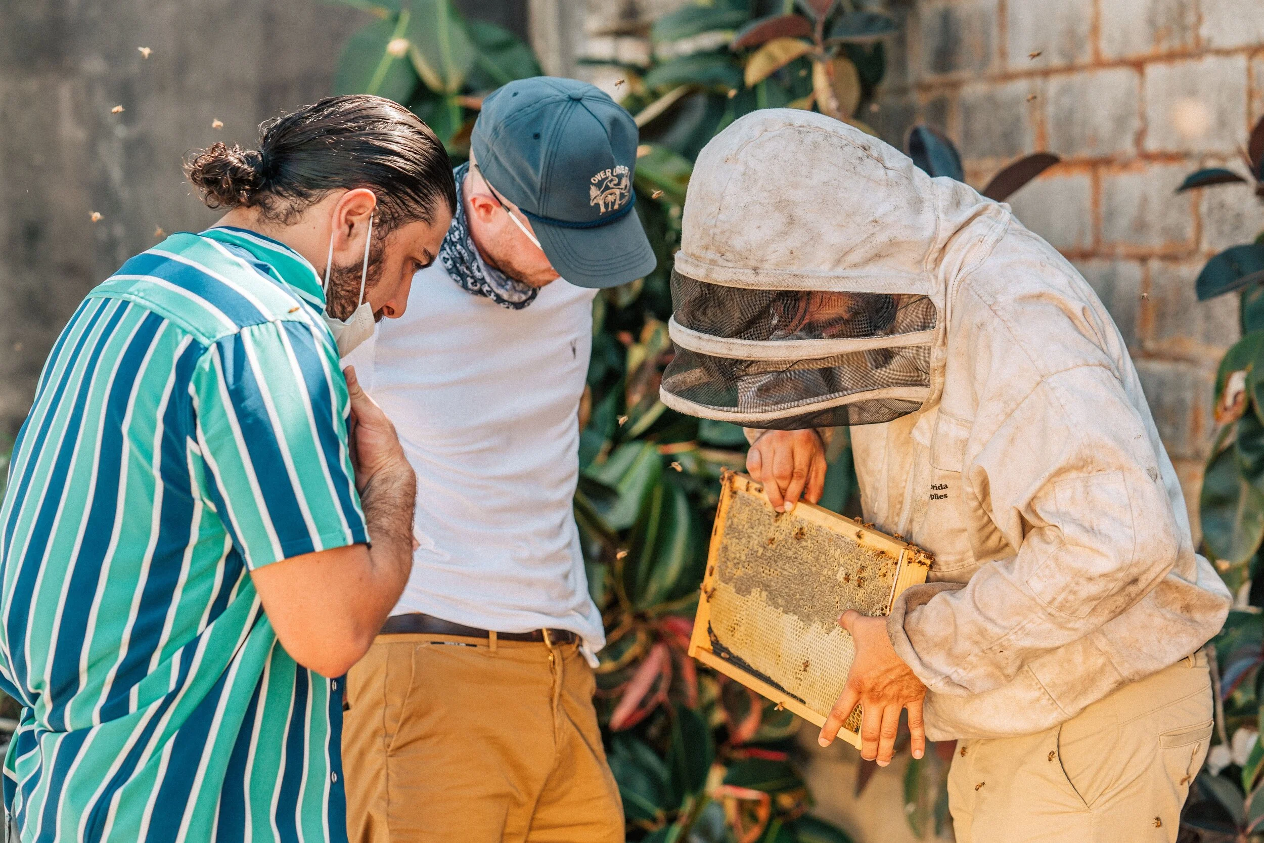 LA Beekeeper Ruth Askren Teams Up With Bartenders To Support Honey Bees