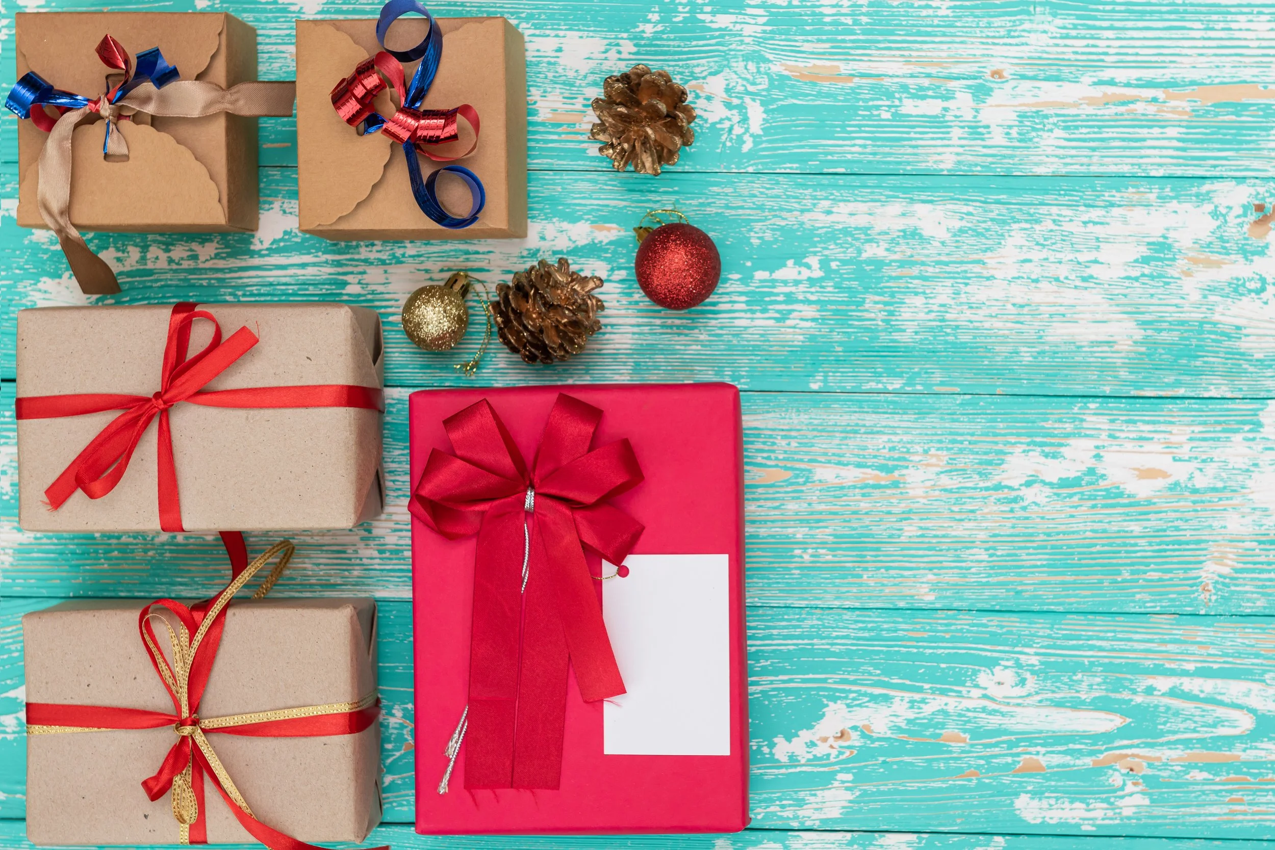 Holiday Gift Guide 2025