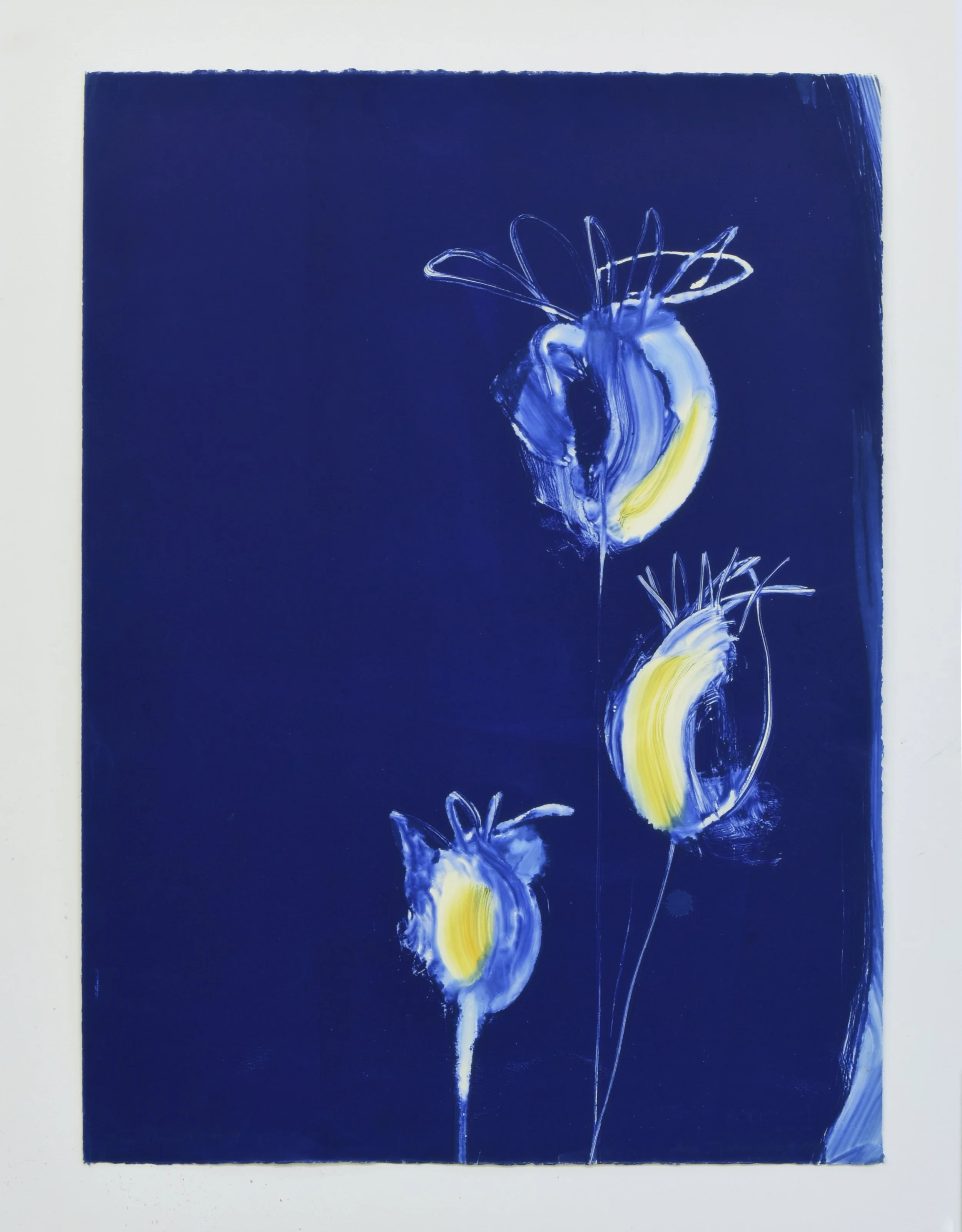 5 Ann Thornycroft,Poppy Pods,30_x22_.jpg