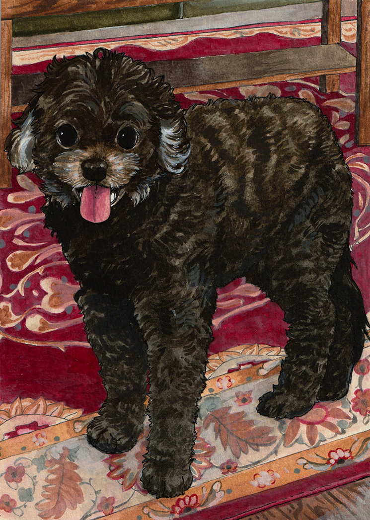 Chewyetsy.png