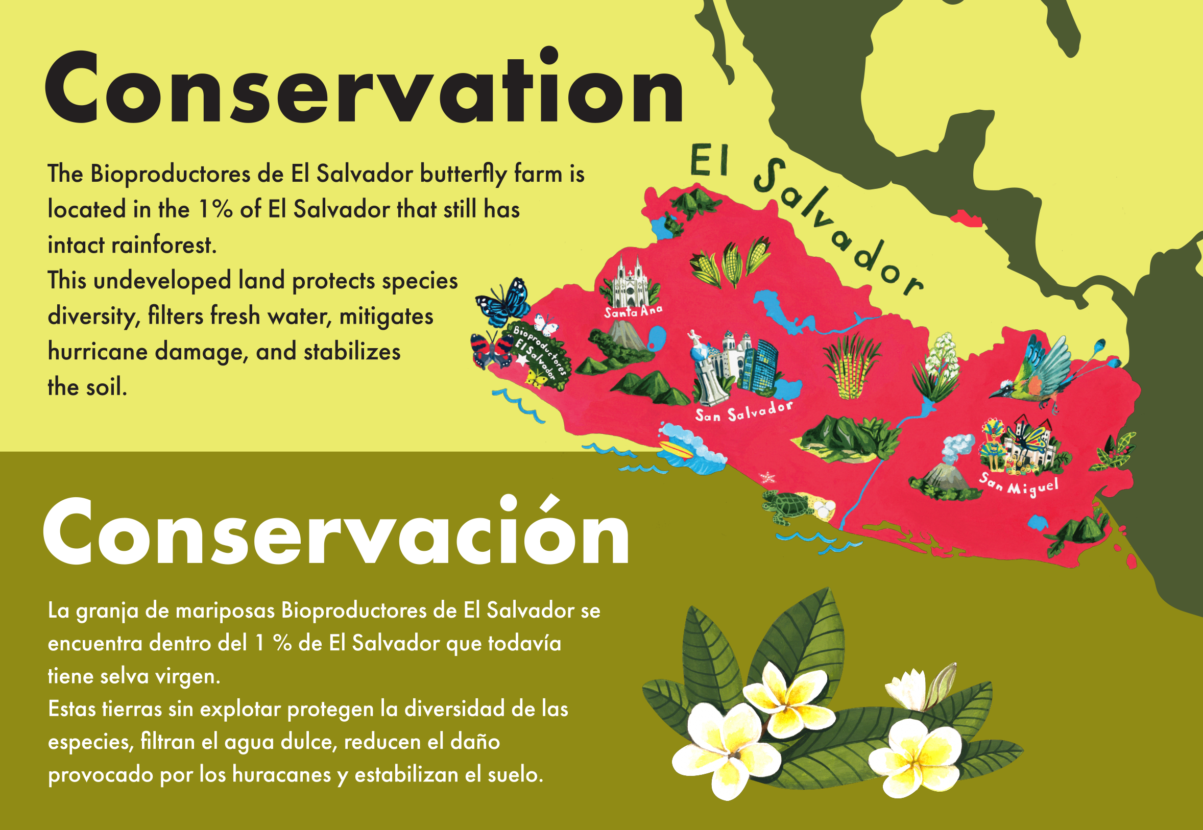 3_Conservation_OL.png