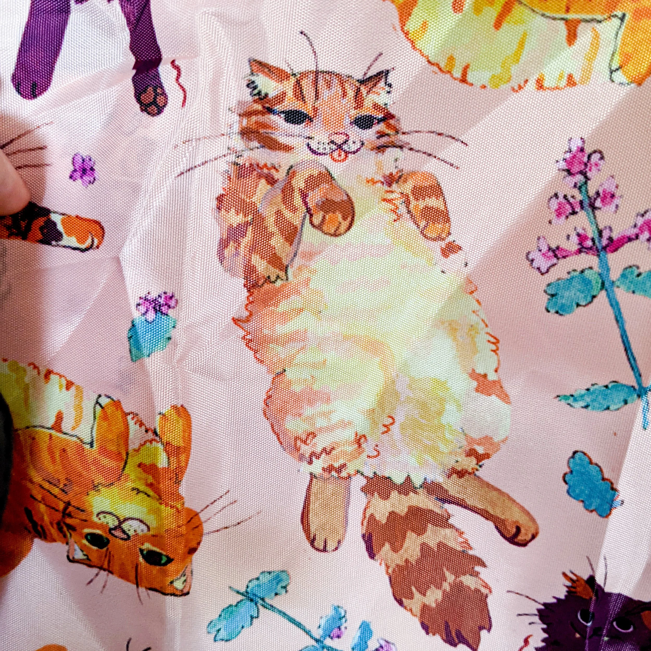 Catnipkittiesbag2.jpg