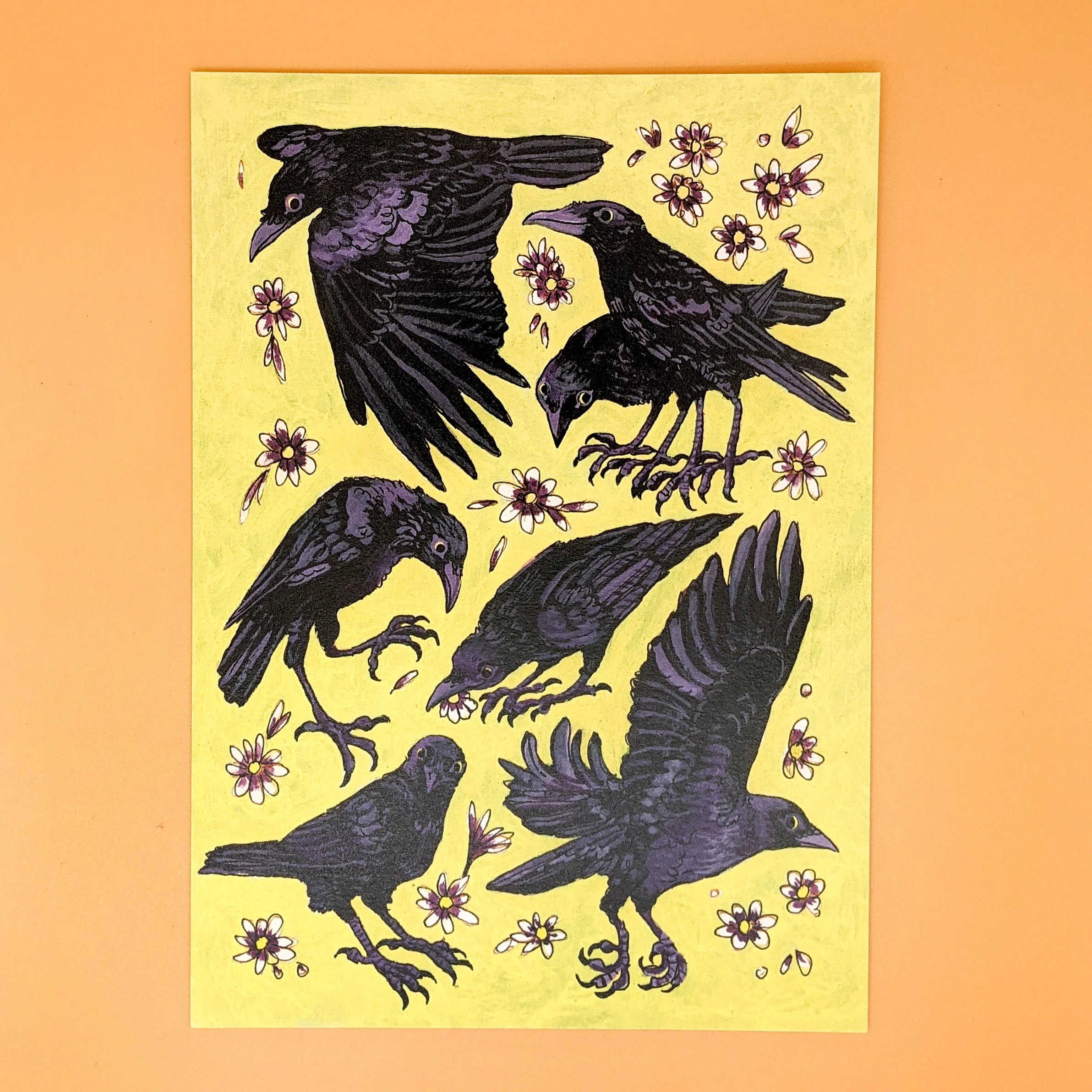 crowsprint1.jpg