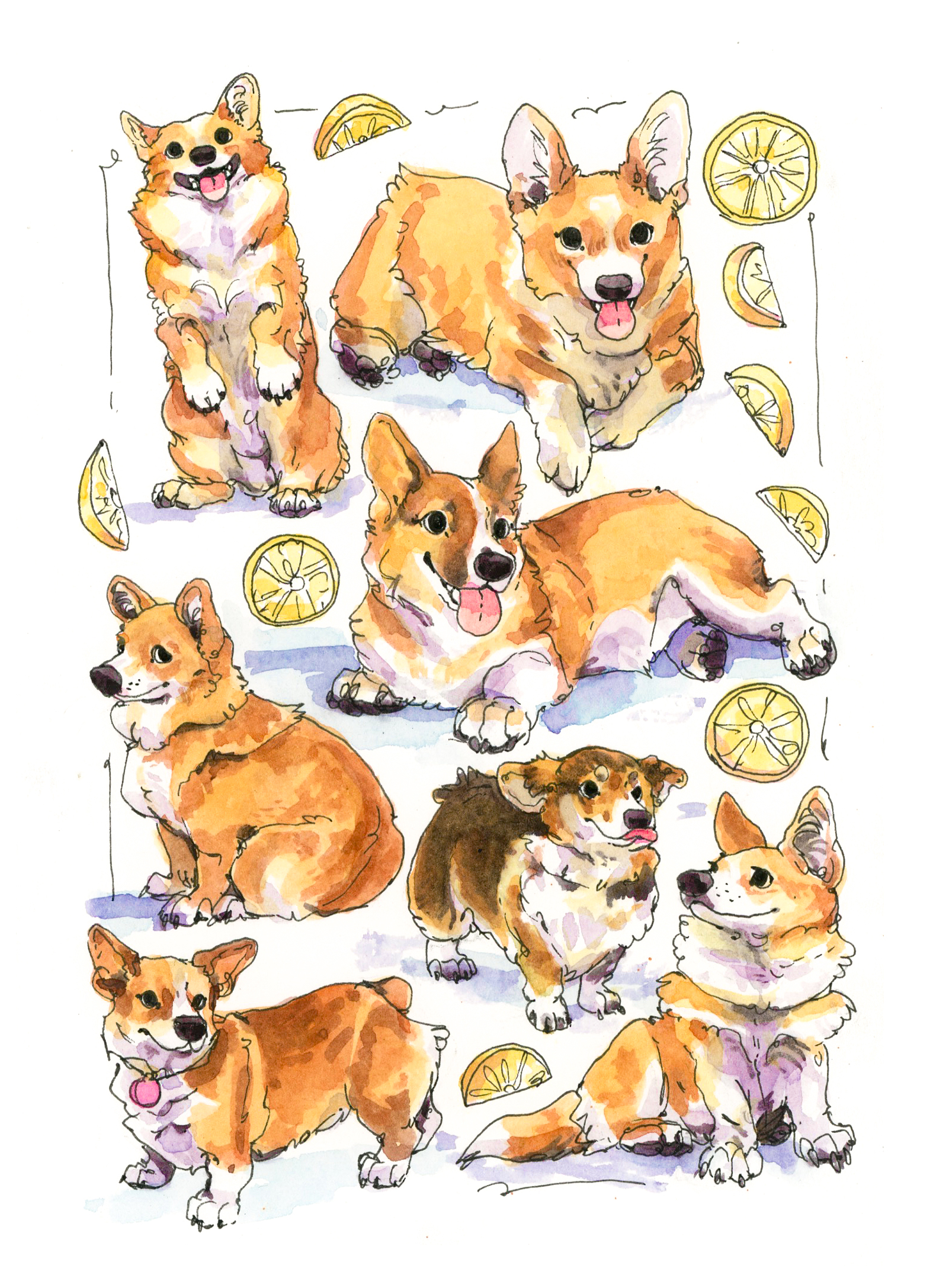 corgis.png