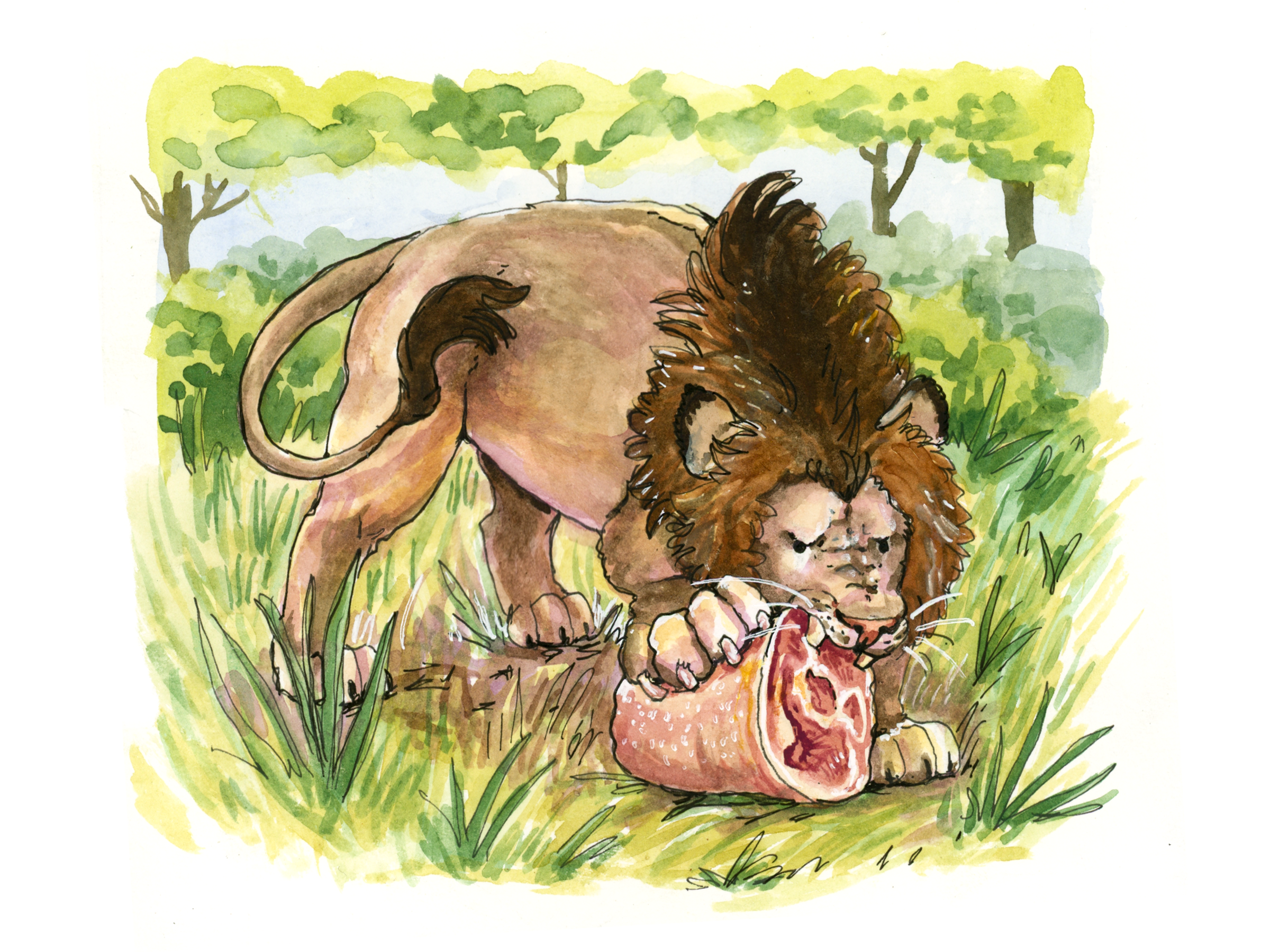 Ashas_Animal_Adventure_5.png