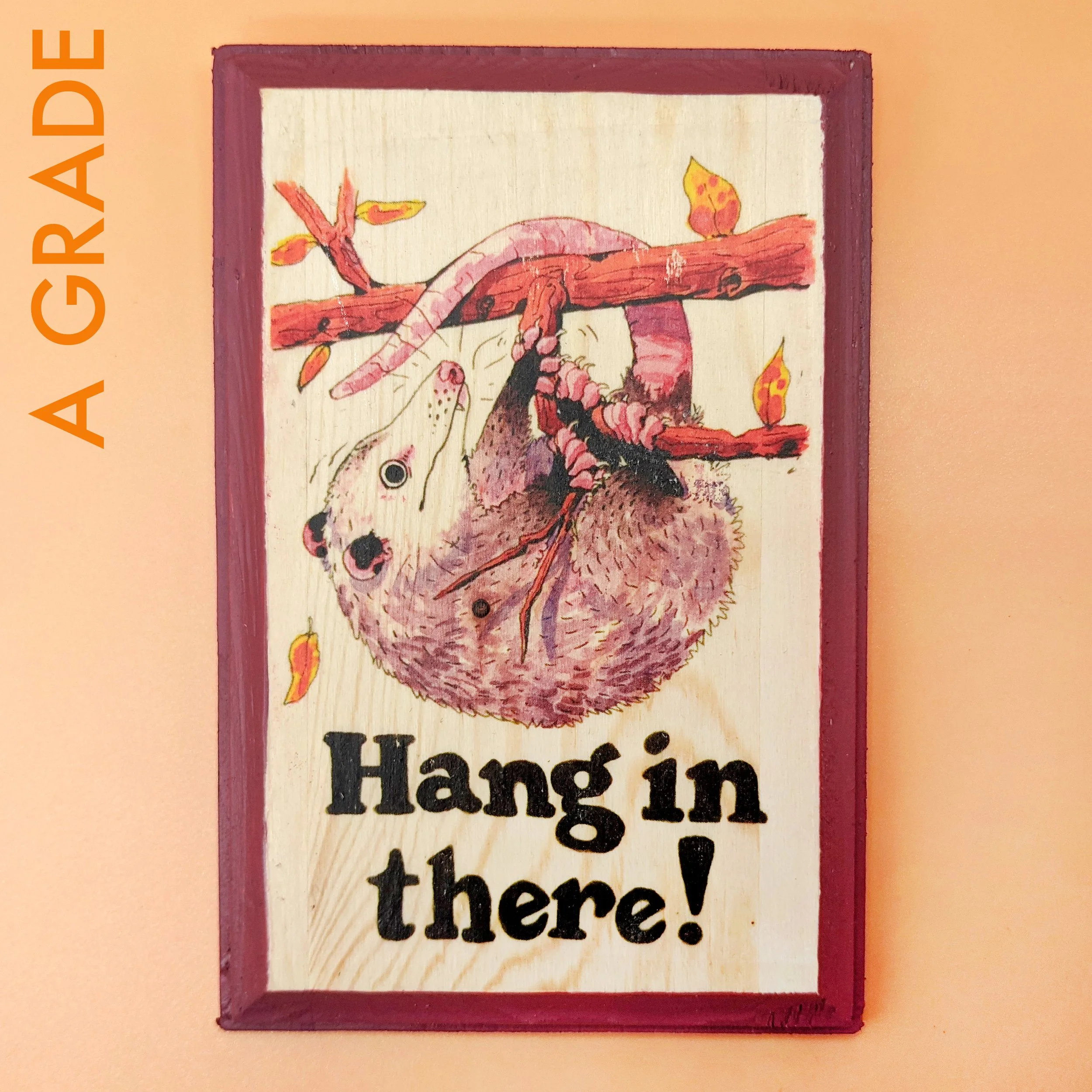 hanginthere-raspberry-a.jpg