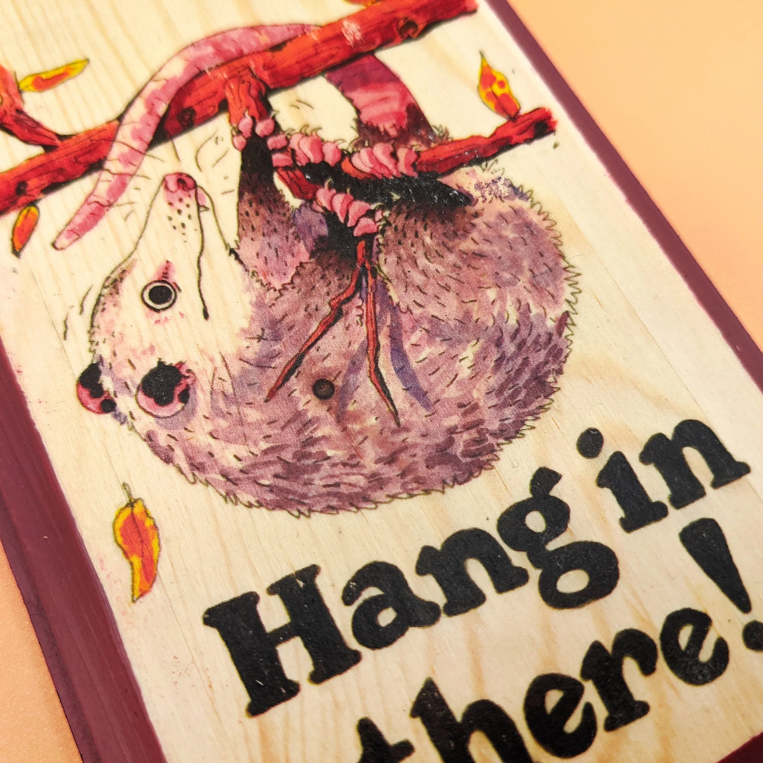 hanginthere-raspberry-adetail.jpg