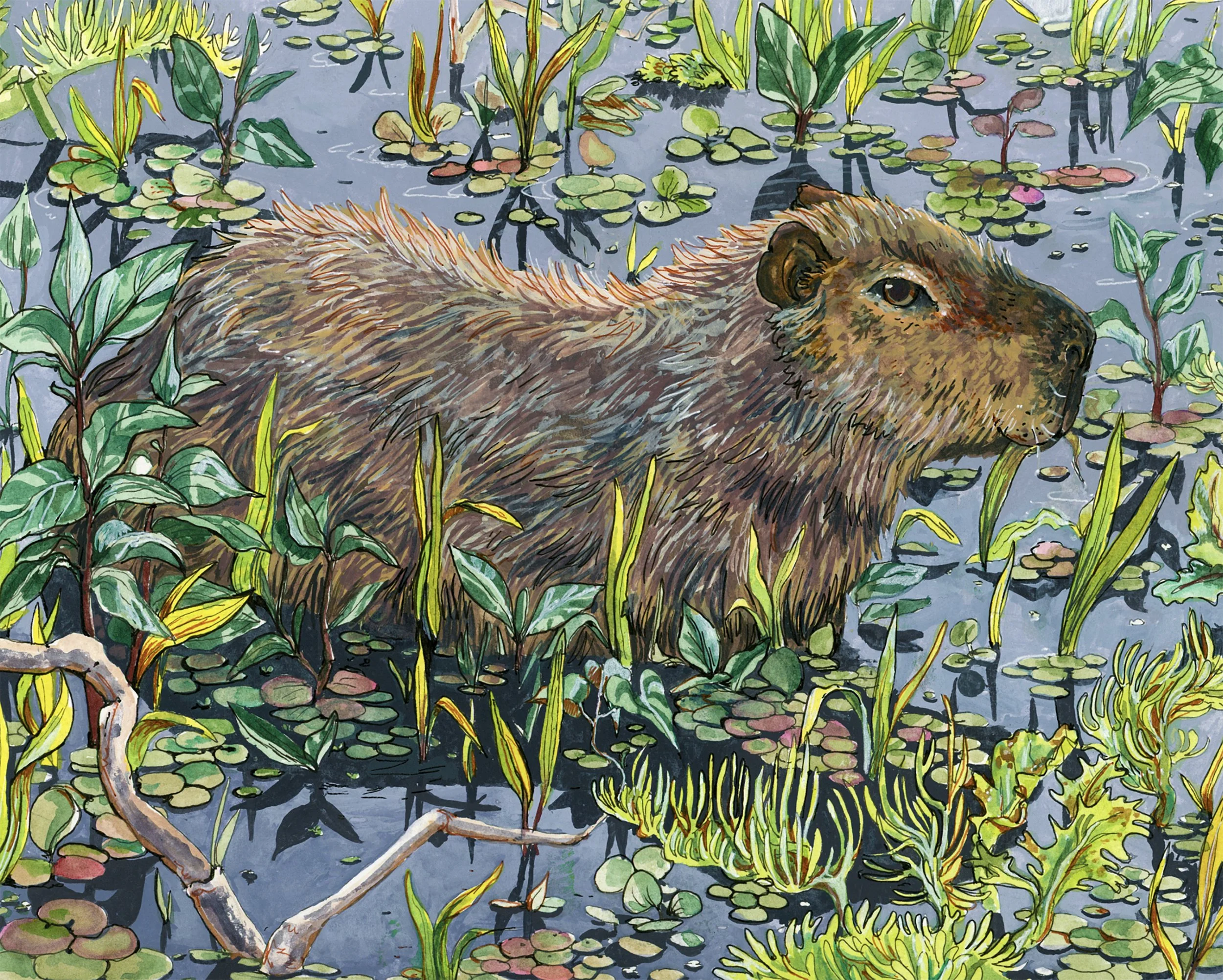 capybara copy.jpg