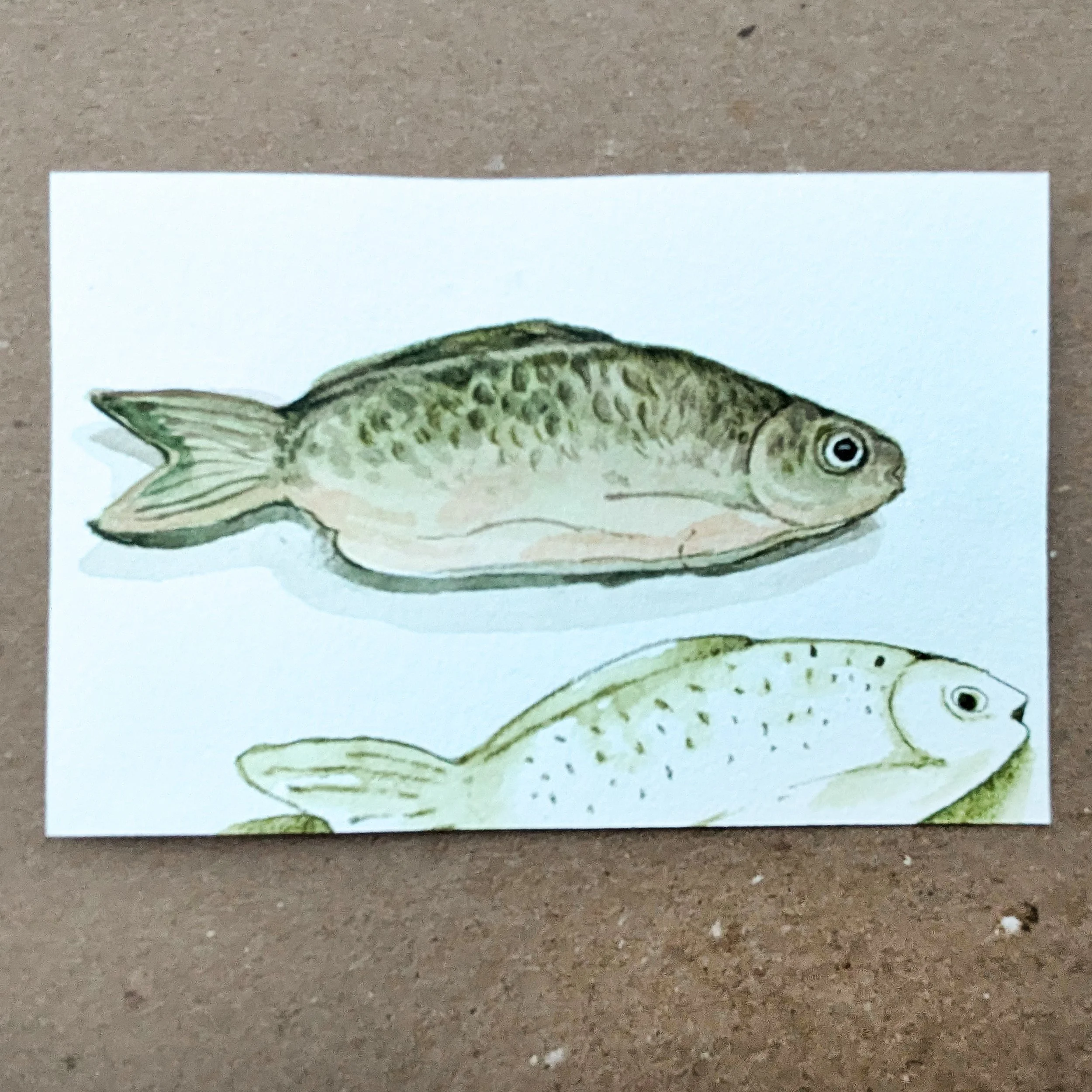 PXL_20251215_002323928 copy.jpg