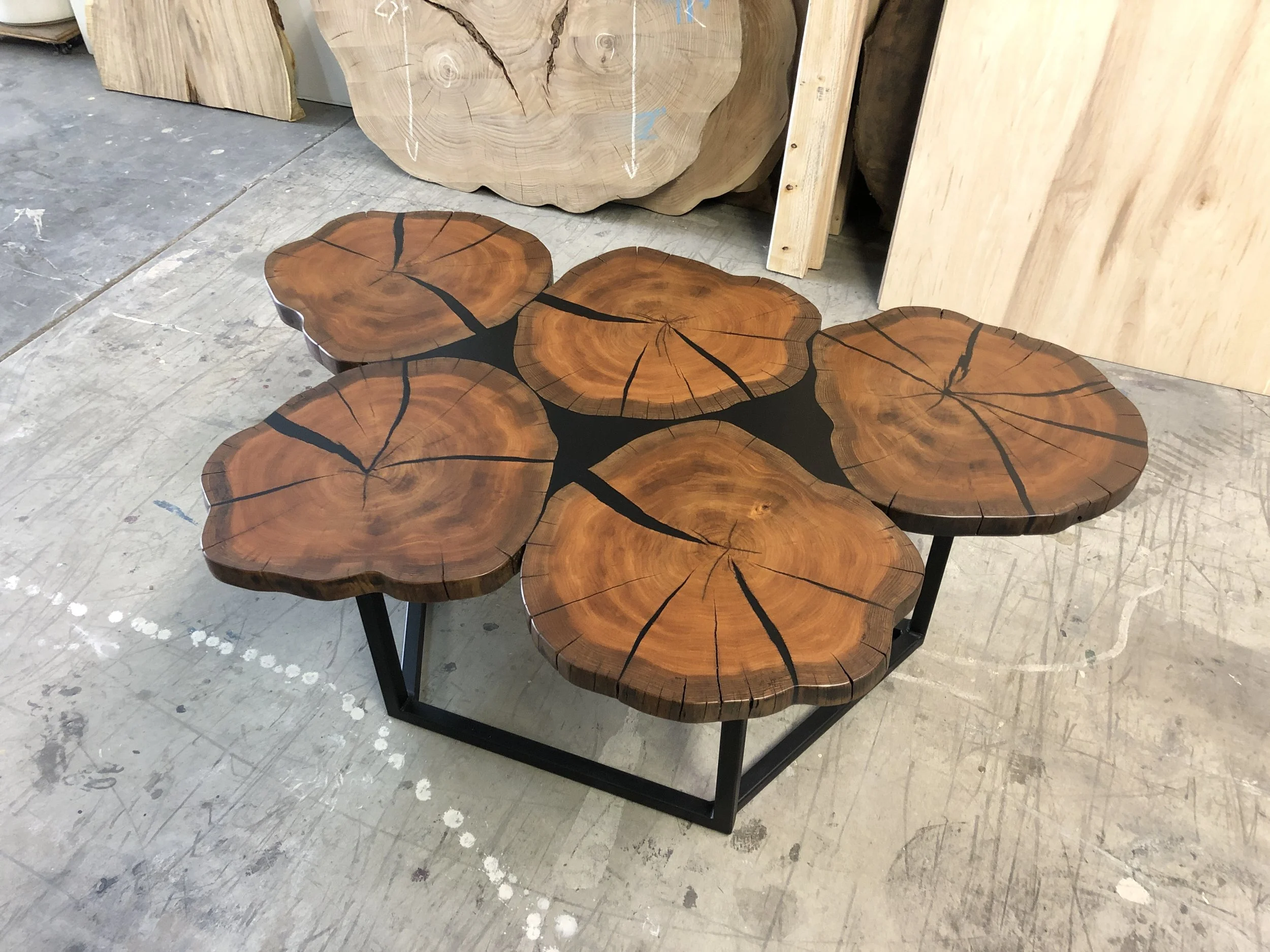 Live Edge, Elm Crosscuts Coffee Table – P10811 — Pasadenaville