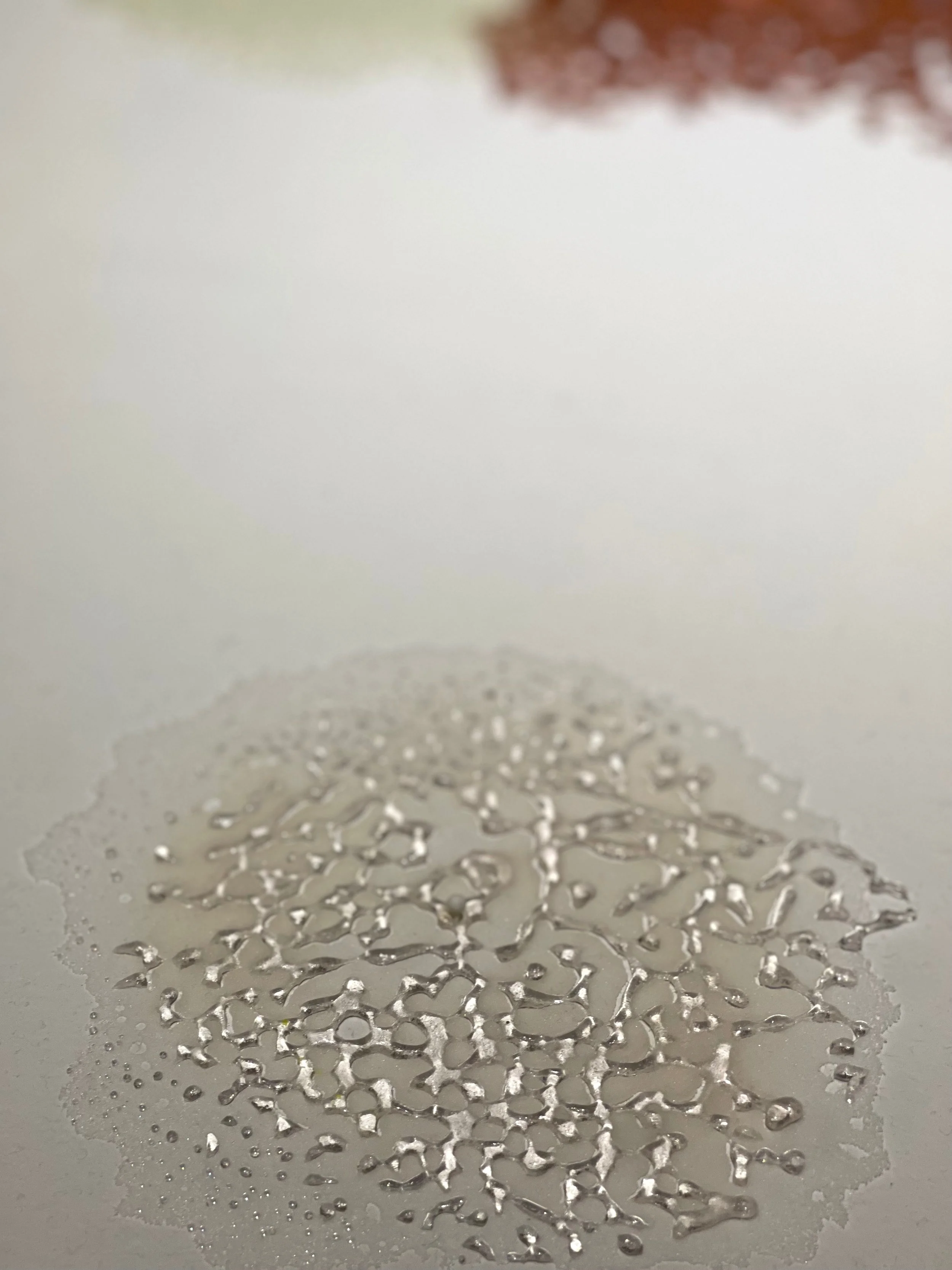 IMG_2046.jpeg