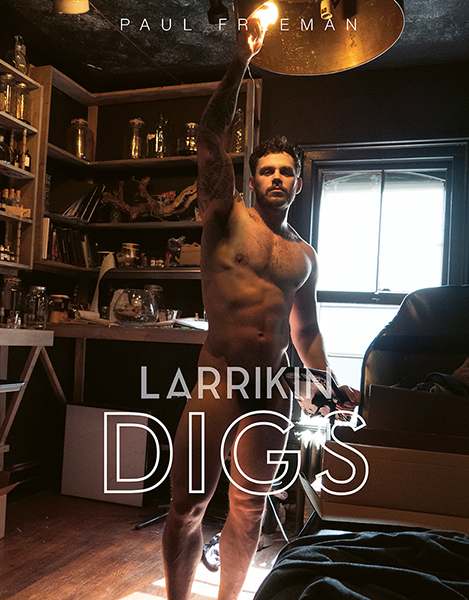 Larrikin DIGS Cover sml.jpg
