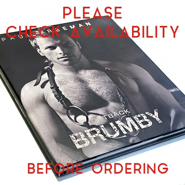 outback brumby on bench sml CHECK AVAILABILITY.jpg