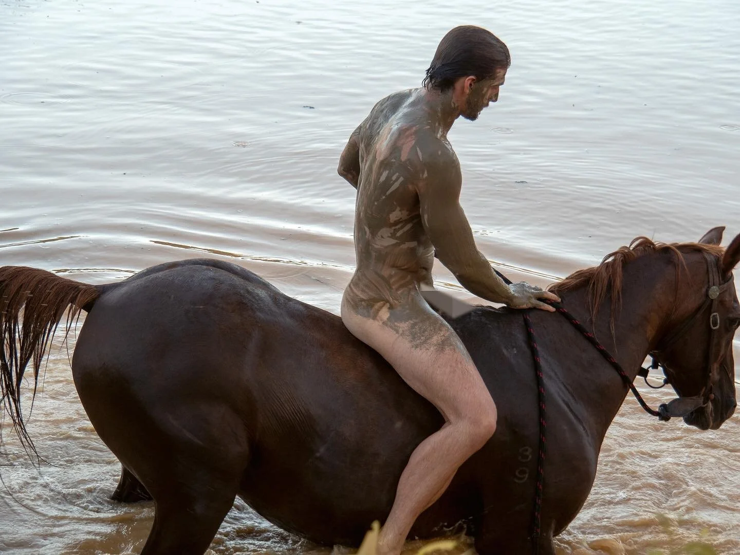 A bloke on a horse.
It&rsquo;s the LAST TWO DAYS of my pre-sale of my new books. Don&rsquo;t miss out - k1ckstarter link in my profile 🙏😊