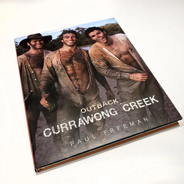 outback currawong on bench.jpg