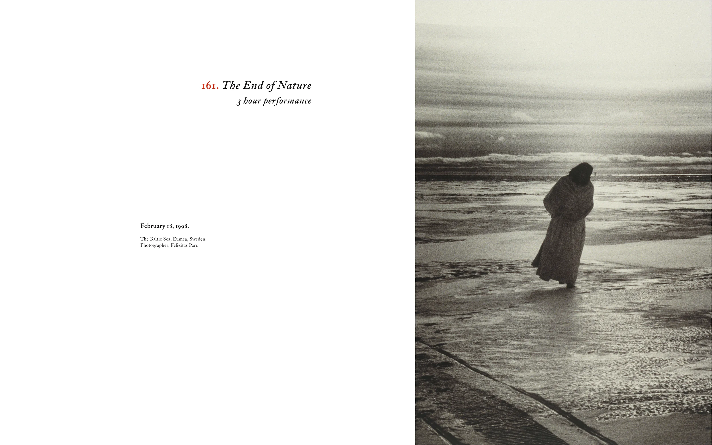 mike parr : performances 1971 - 2008