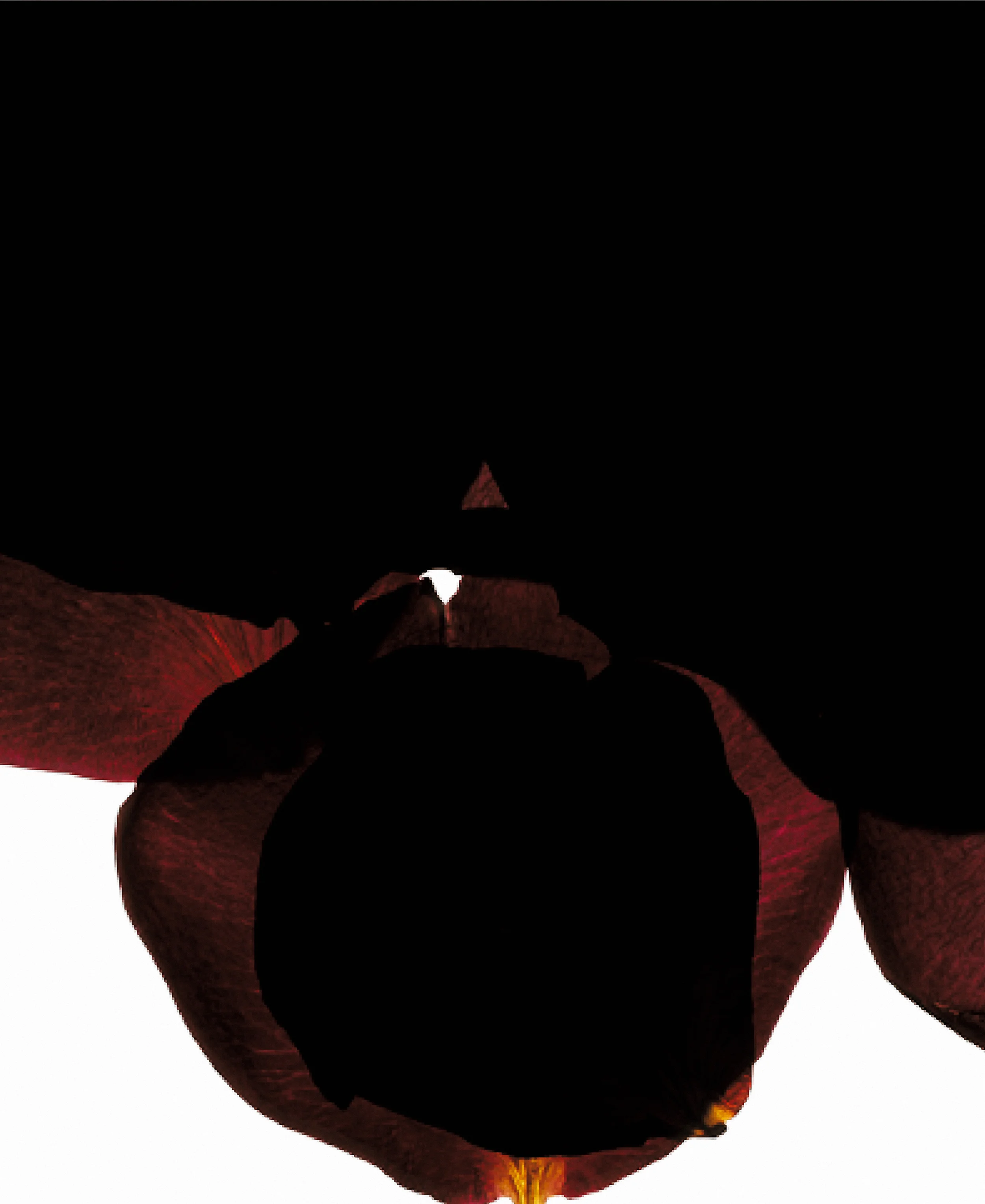 elegy for robert motherwell
