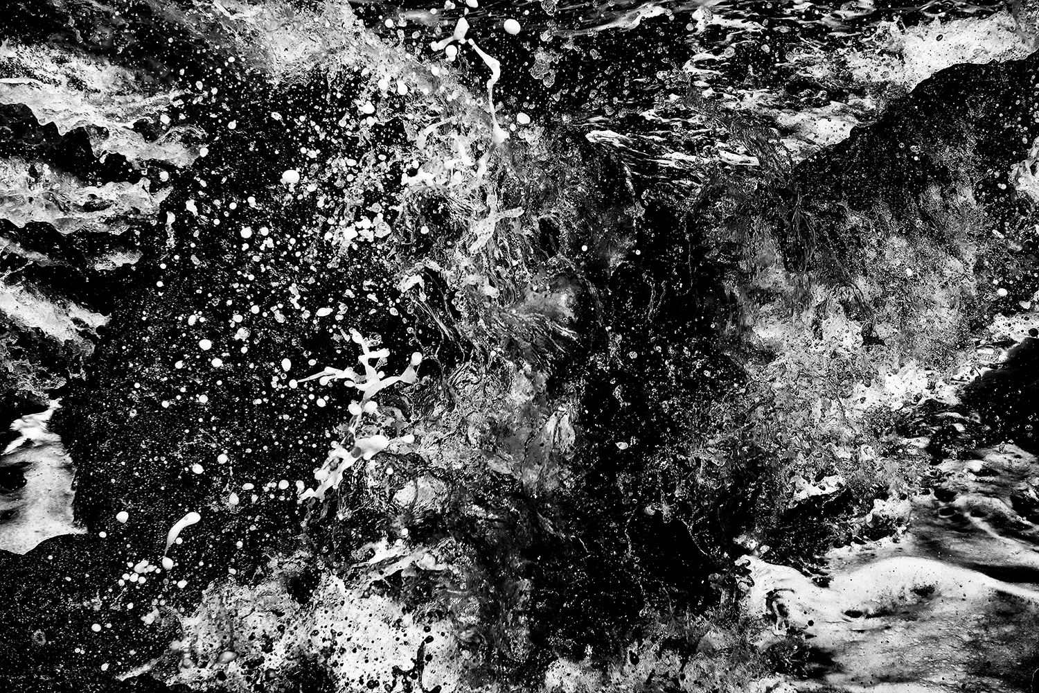 palm cove _ 2018
